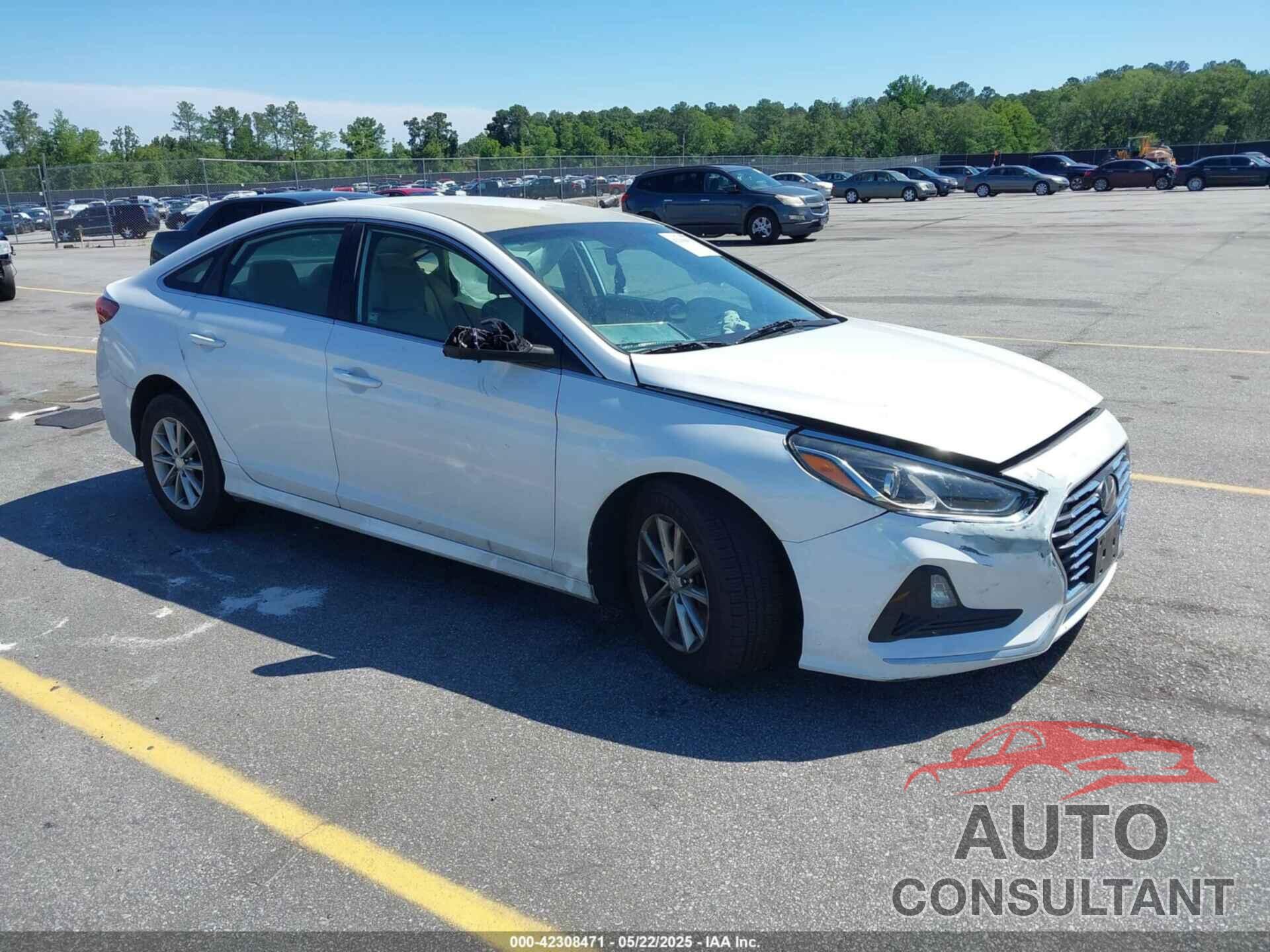 HYUNDAI SONATA 2018 - 5NPE24AF6JH667007