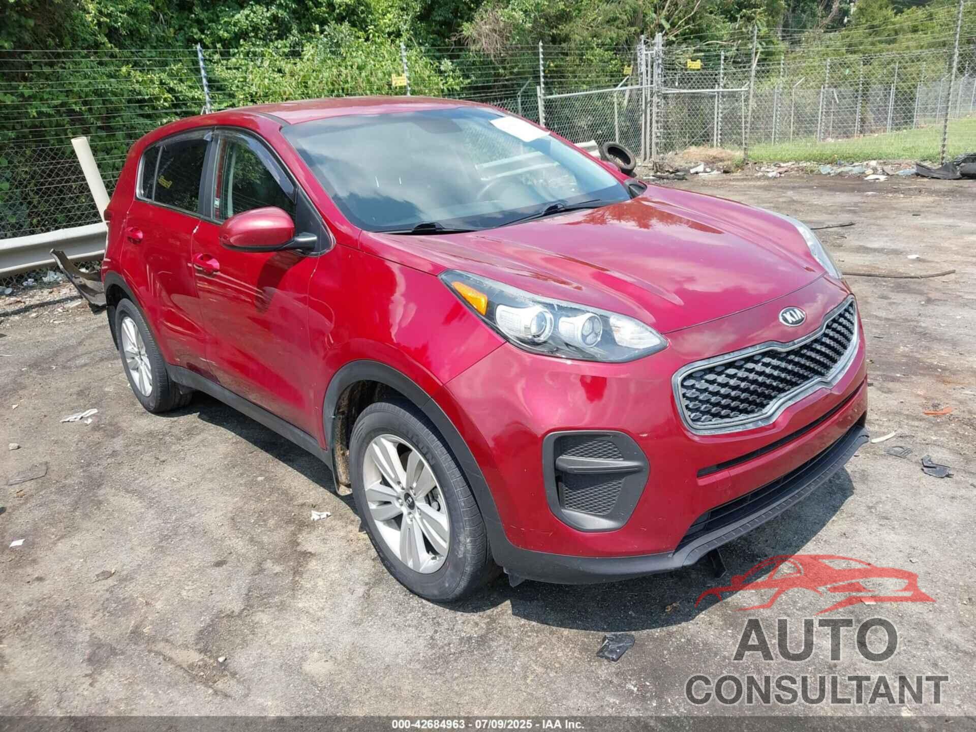 KIA SPORTAGE 2019 - KNDPM3AC9K7616836