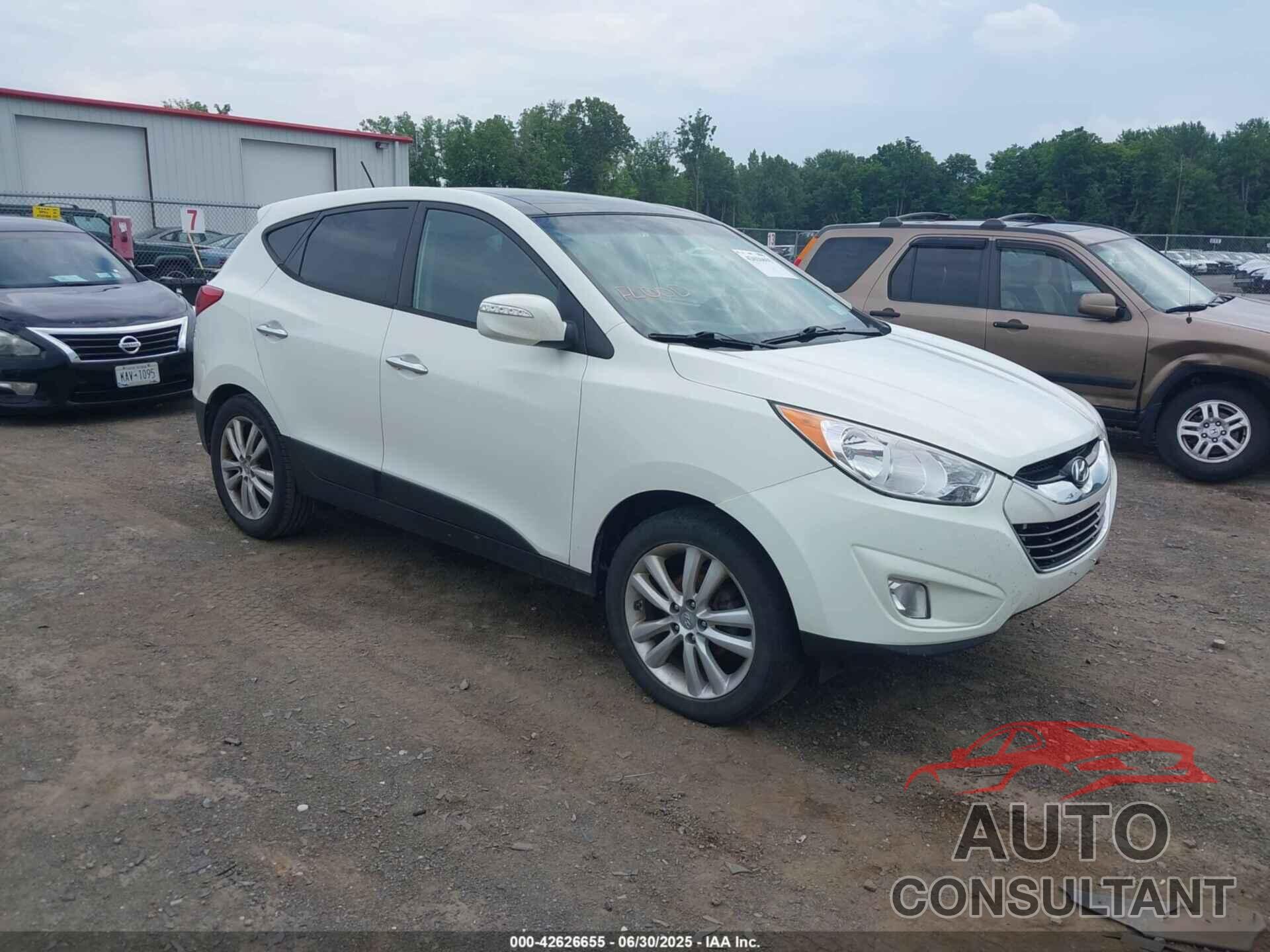 HYUNDAI TUCSON 2010 - KM8JU3AC5AU042849