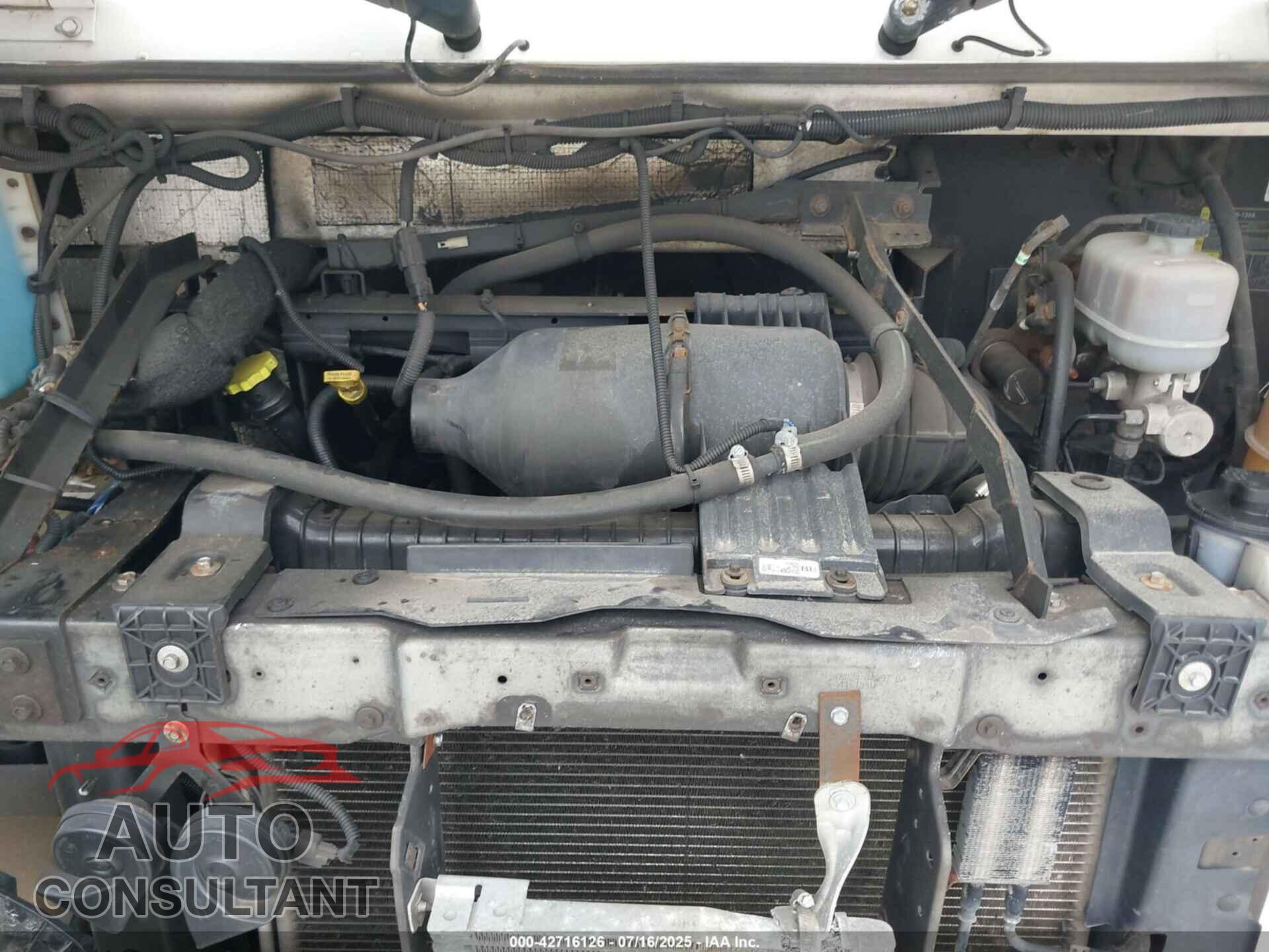 FORD E-450 STRIPPED 2016 - 1FC3E4KL9GDC09253