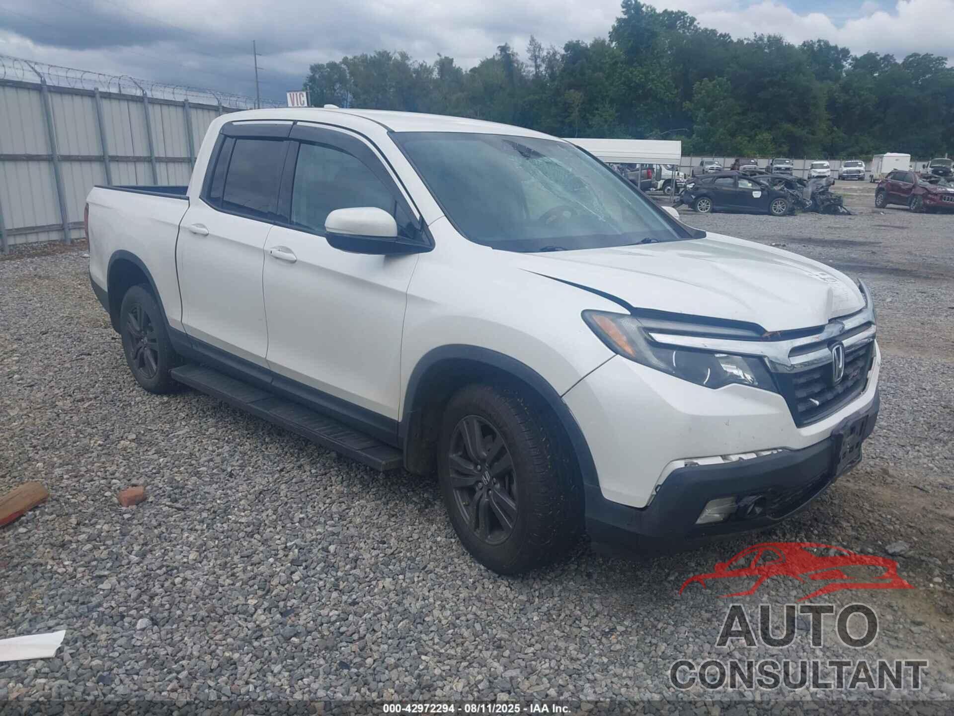 HONDA RIDGELINE 2019 - 5FPYK3F14KB045145