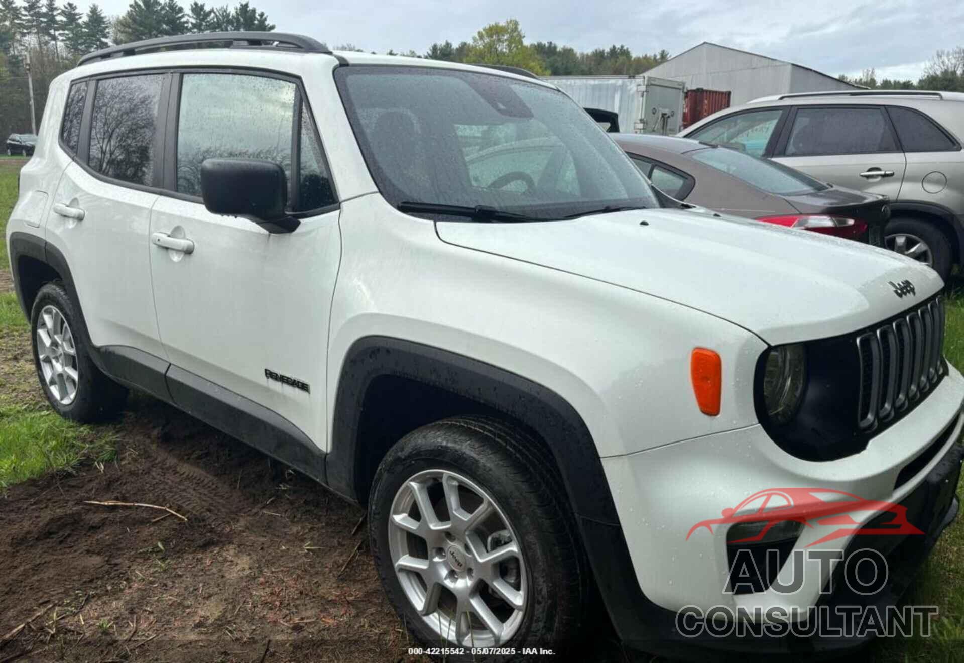 JEEP RENEGADE 2022 - ZACNJDB16NPN47773