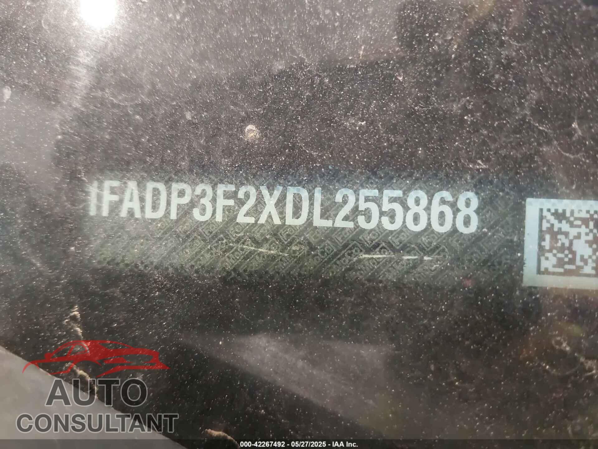 FORD FOCUS 2013 - 1FADP3F2XDL255868