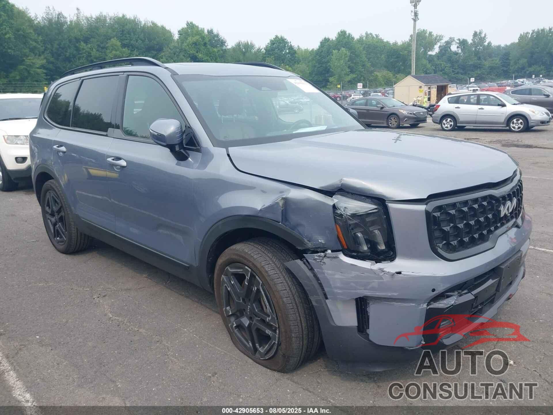 KIA TELLURIDE 2024 - 5XYP5DGCXRG472883