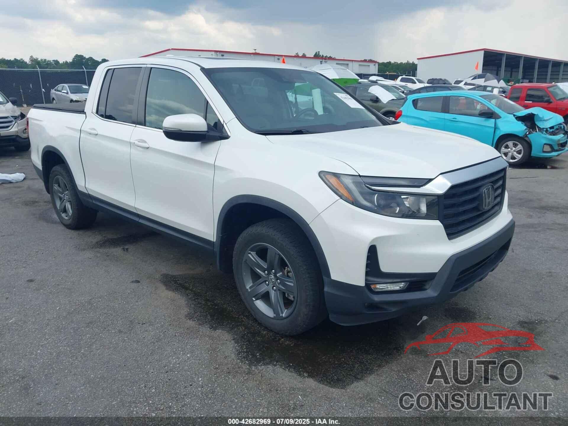 HONDA RIDGELINE 2021 - 5FPYK3F50MB019082