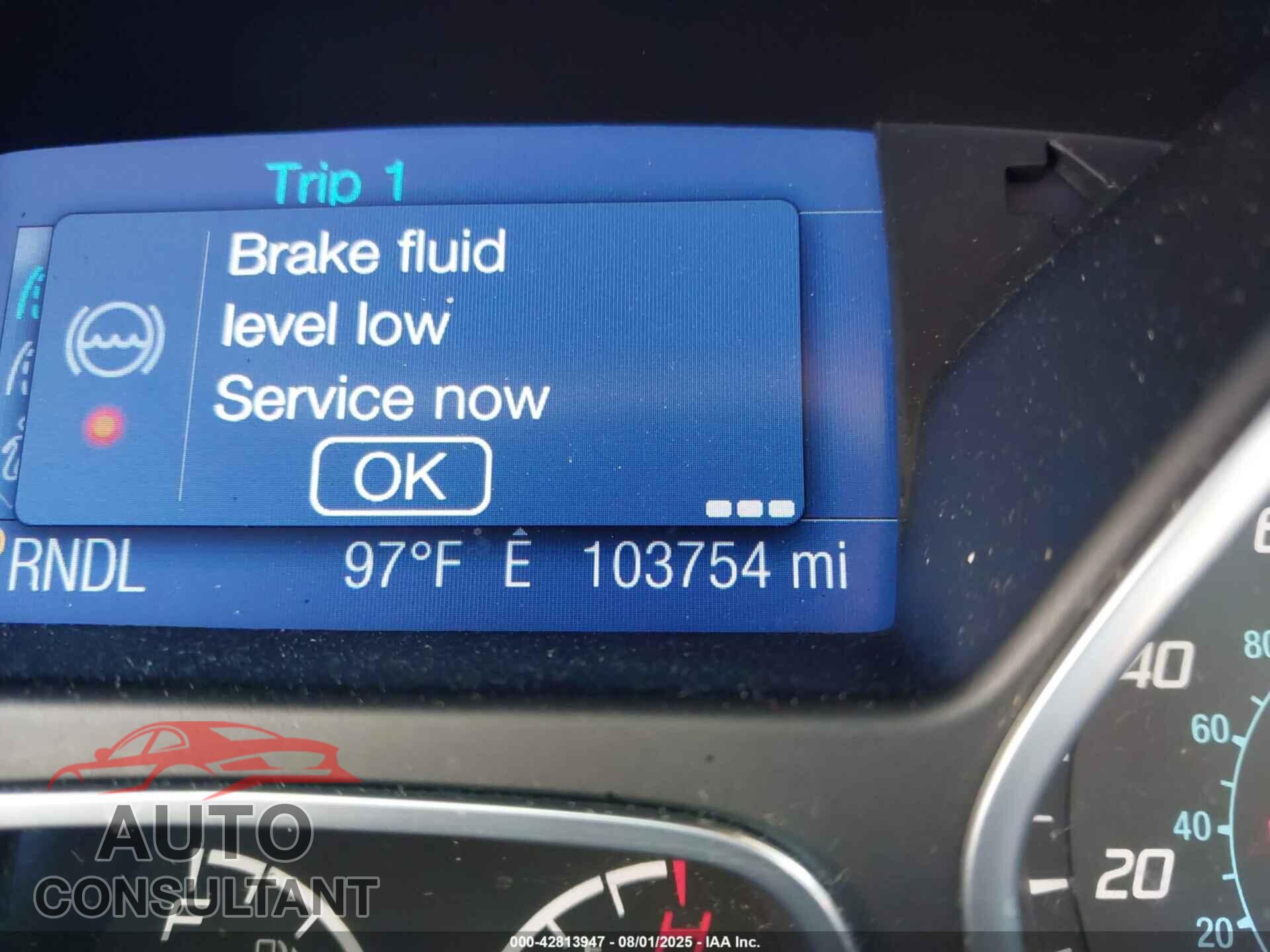 FORD FOCUS 2013 - 1FADP3F2XDL378568