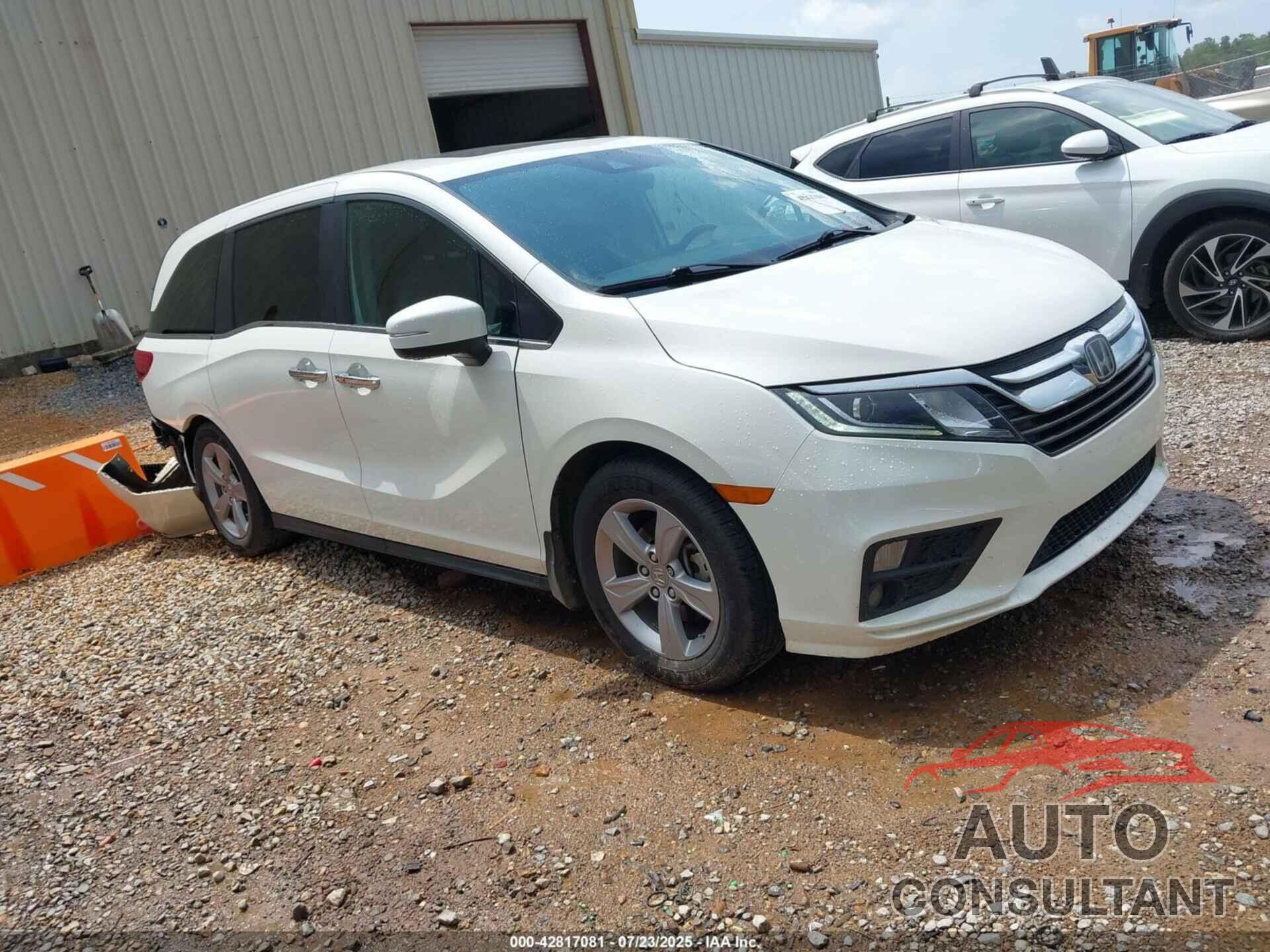 HONDA ODYSSEY 2019 - 5FNRL6H75KB050271