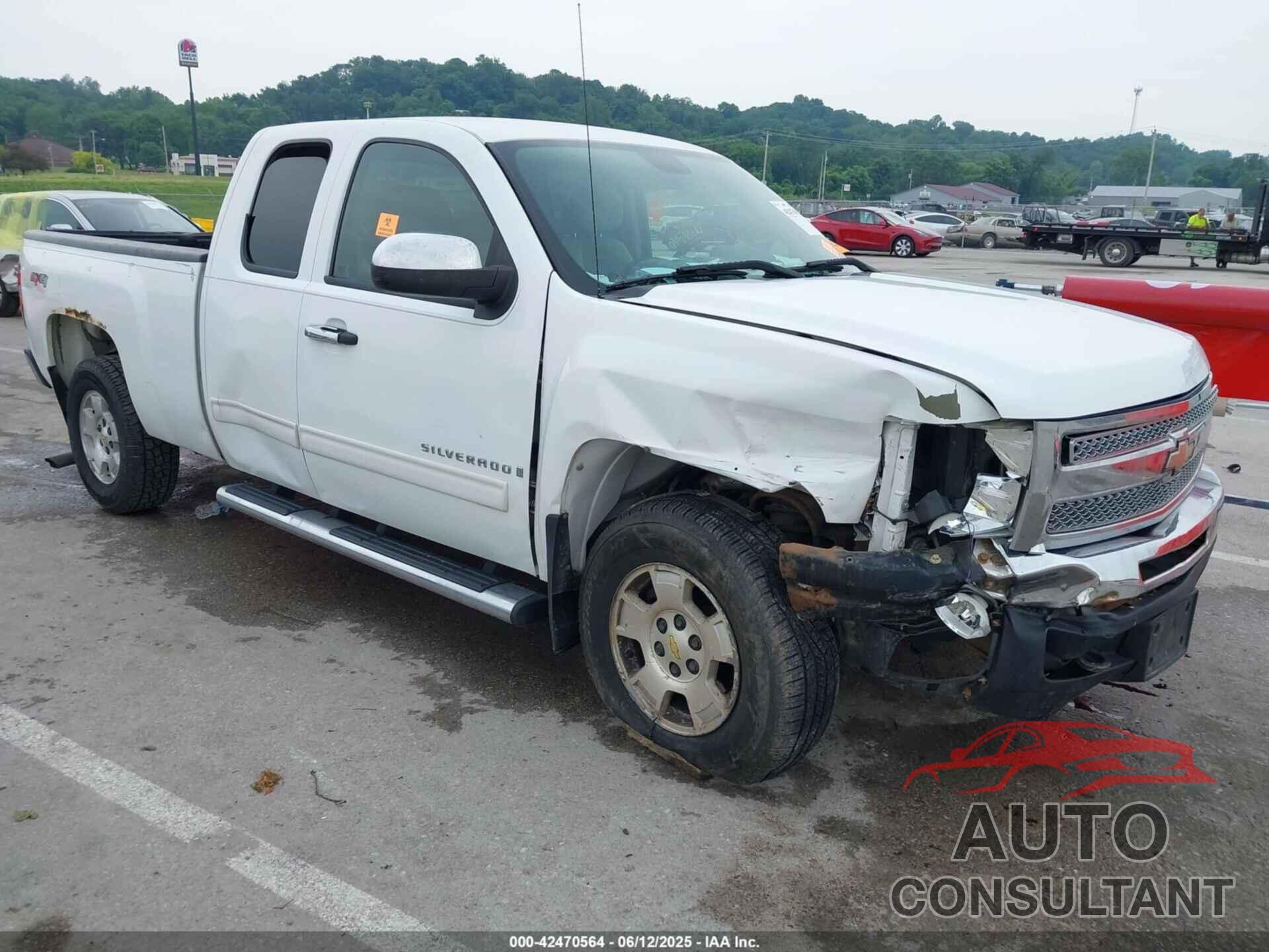 CHEVROLET SILVERADO 1500 2009 - 1GCEK29C39Z243674