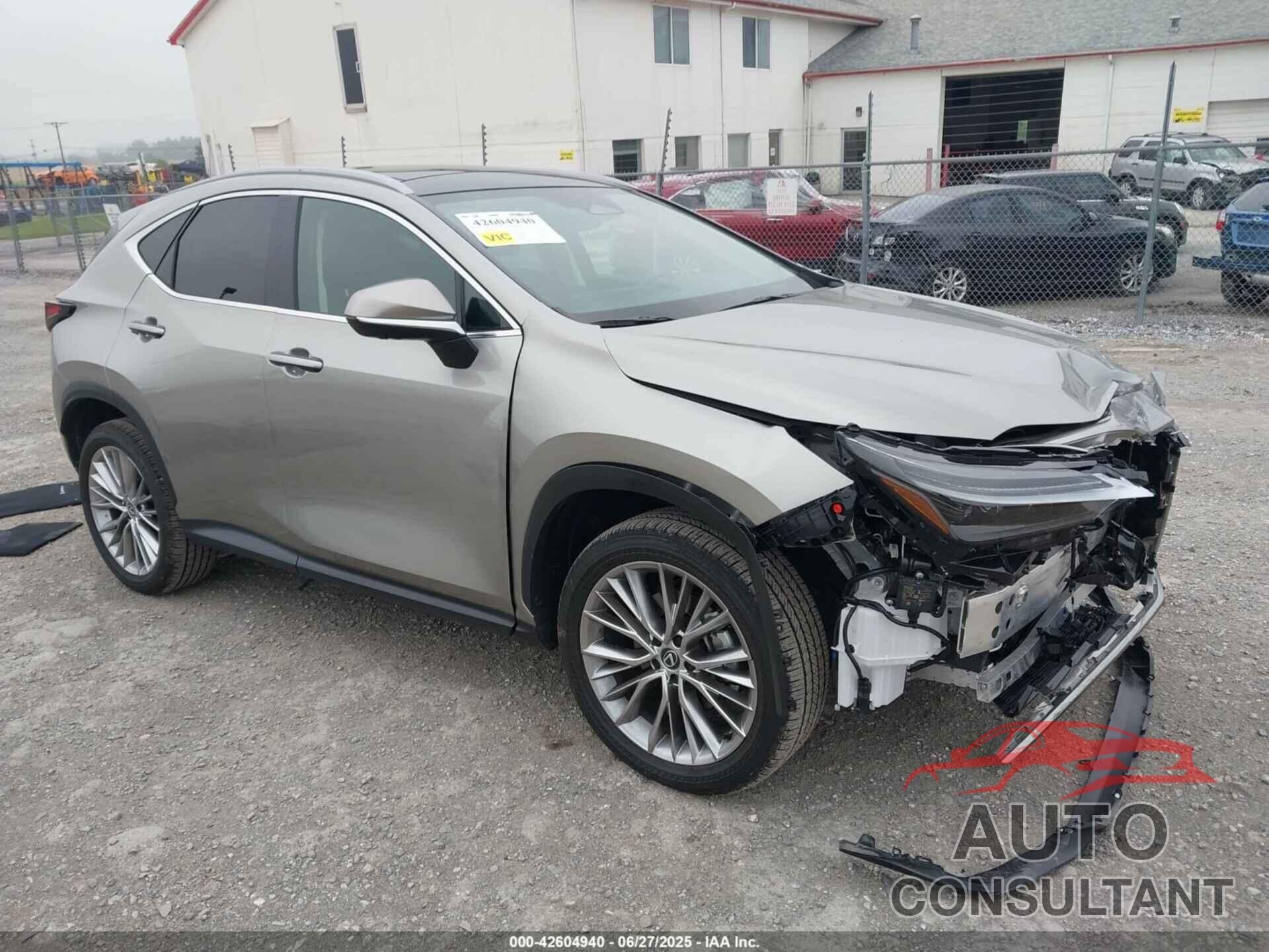 LEXUS NX 350 2025 - 2T2HGCEZ0SC062106