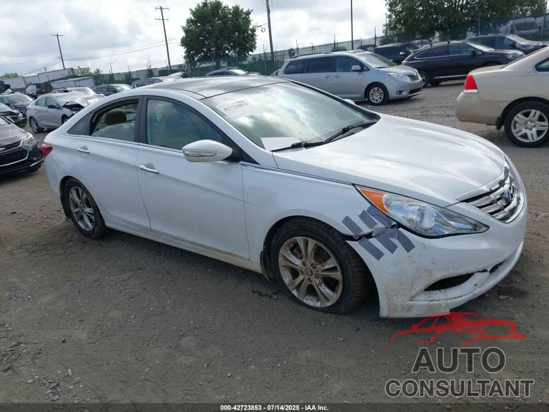 HYUNDAI SONATA 2013 - 5NPEC4AC0DH786209