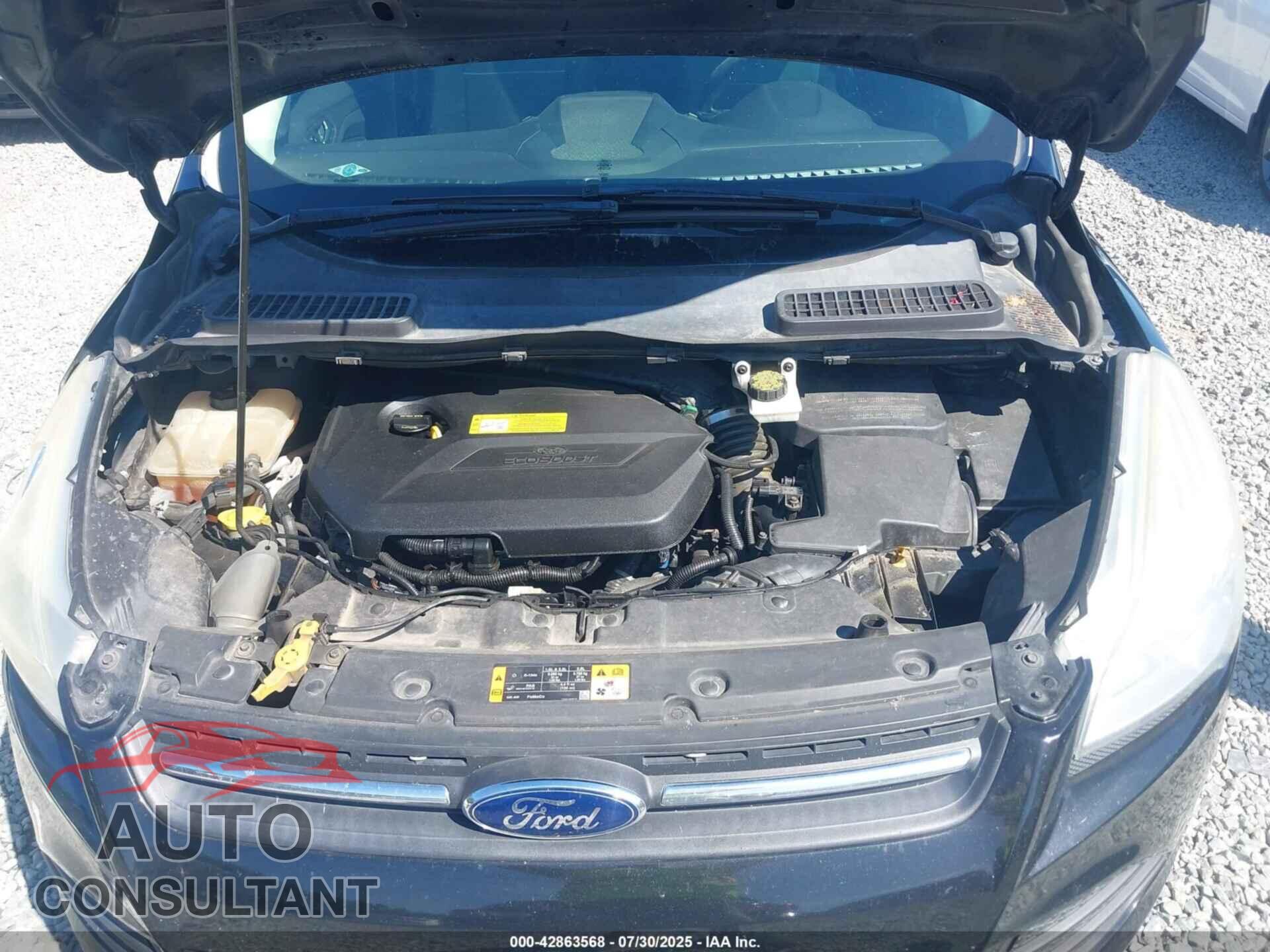 FORD ESCAPE 2013 - 1FMCU9GX2DUC55655