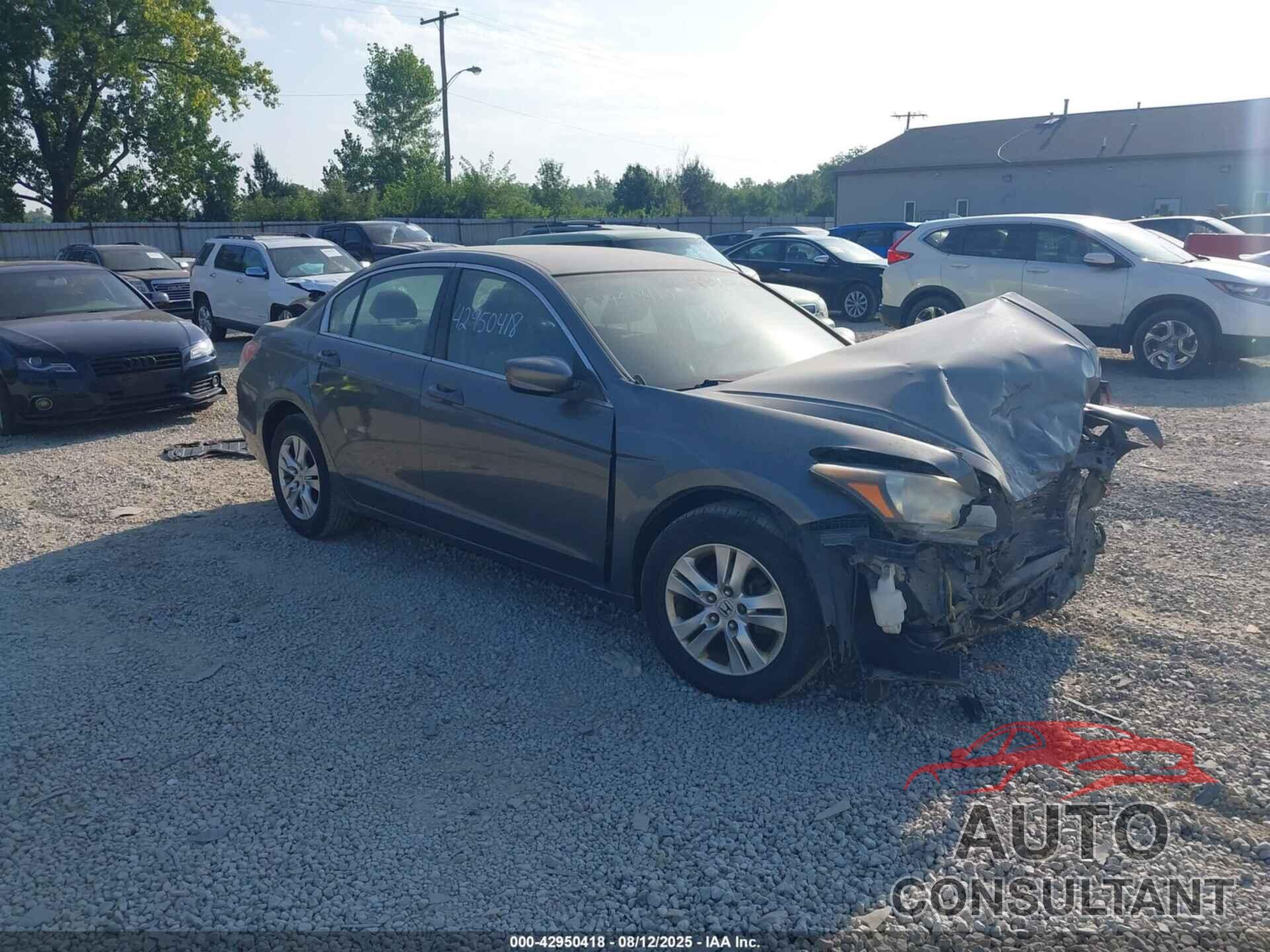 HONDA ACCORD 2010 - 1HGCP2F44AA101991