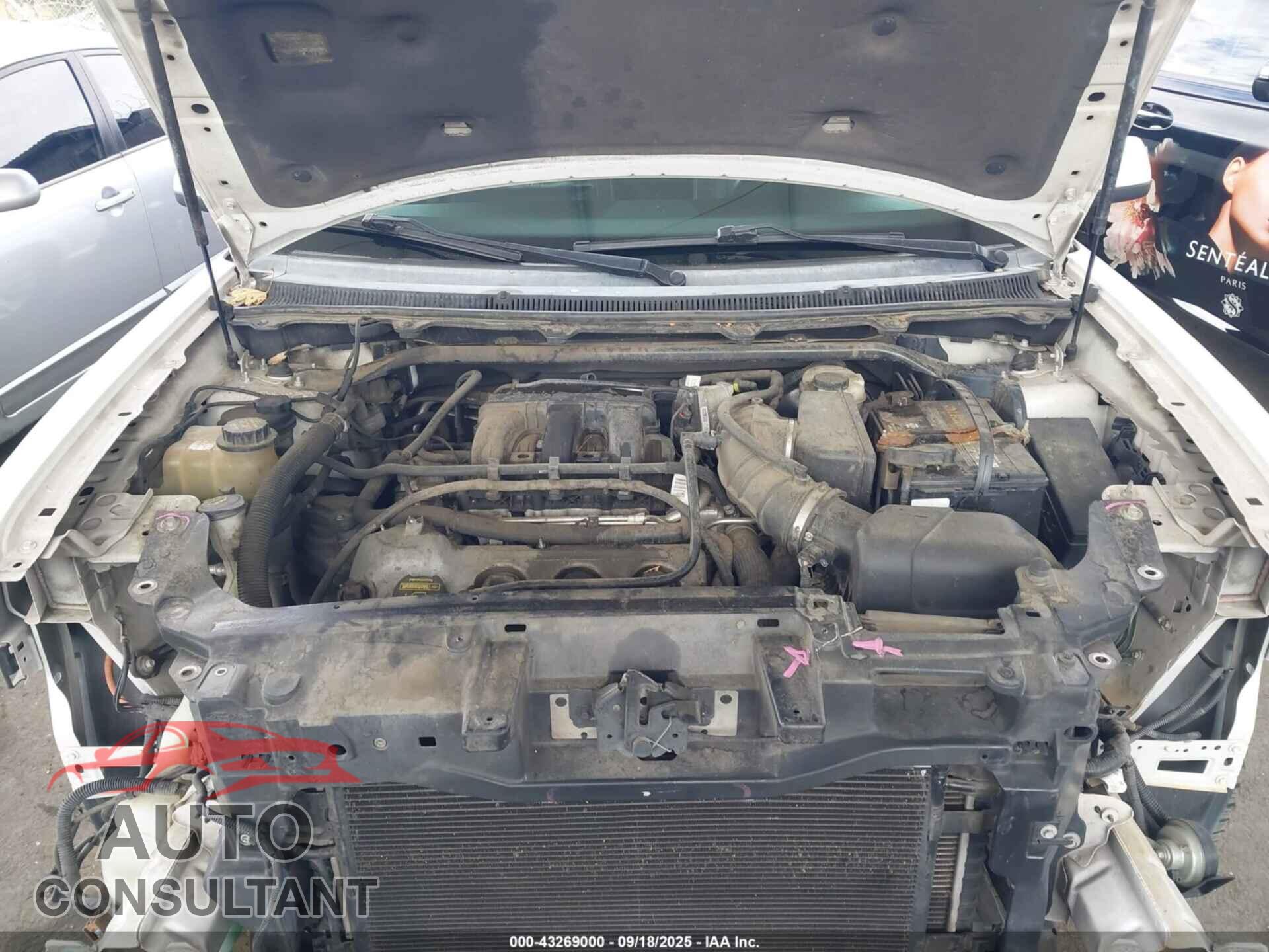 FORD FLEX 2011 - 2FMGK5CC7BBD19033