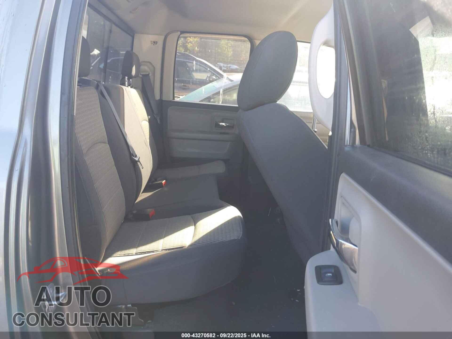 DODGE RAM 1500 2010 - 1D7RB1GP0AS119396