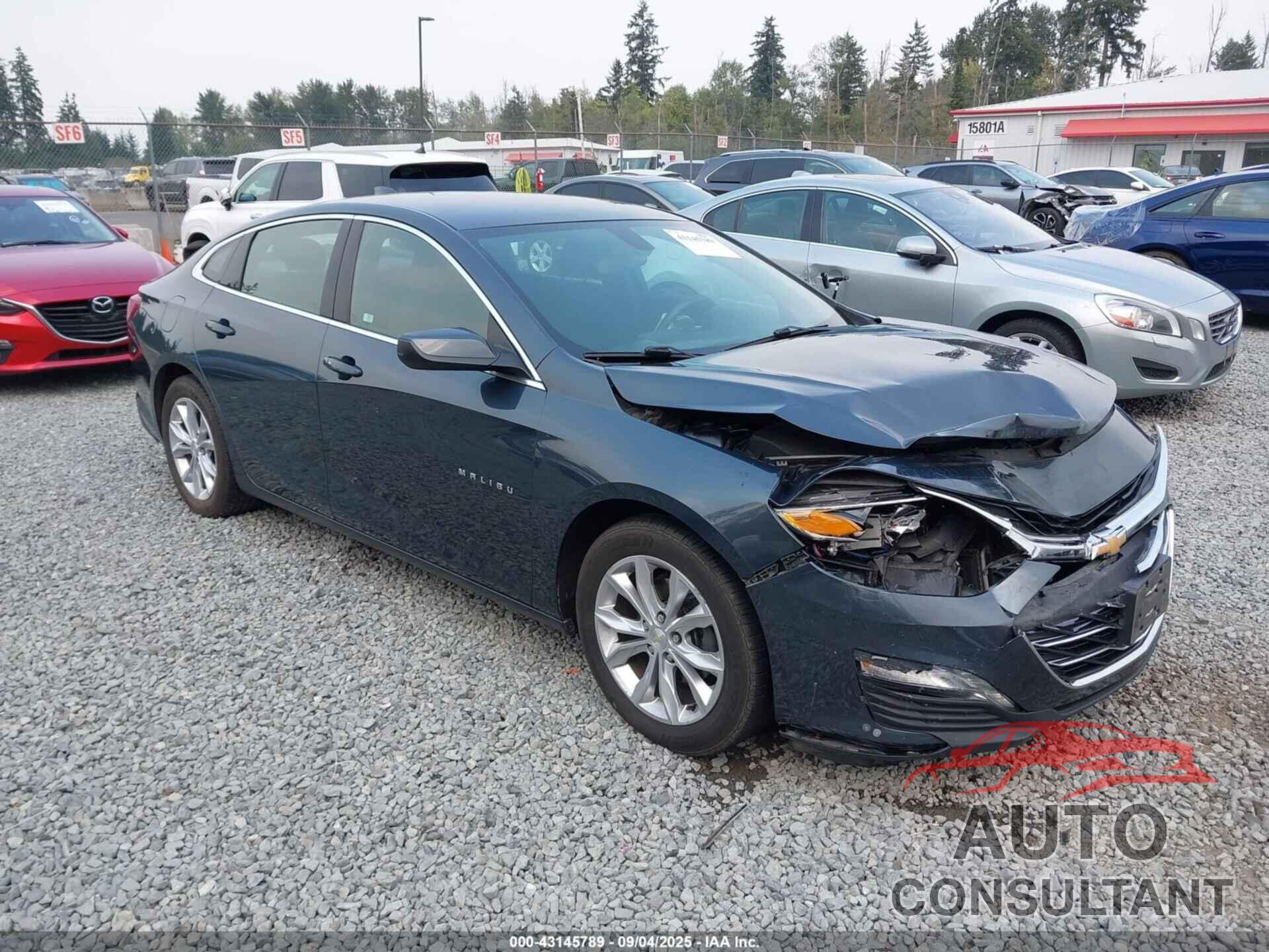 CHEVROLET MALIBU 2019 - 1G1ZD5ST3KF123445