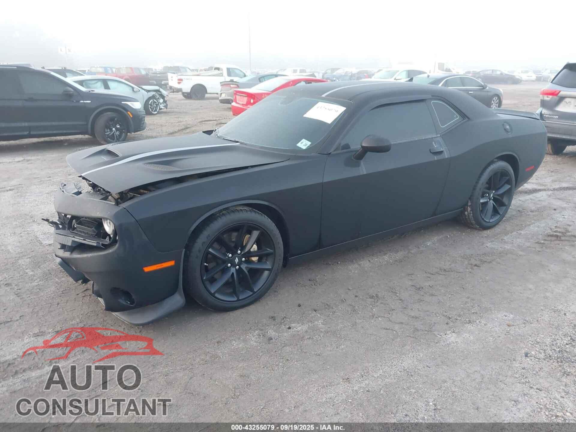 DODGE CHALLENGER 2019 - 2C3CDZFJ6KH717219