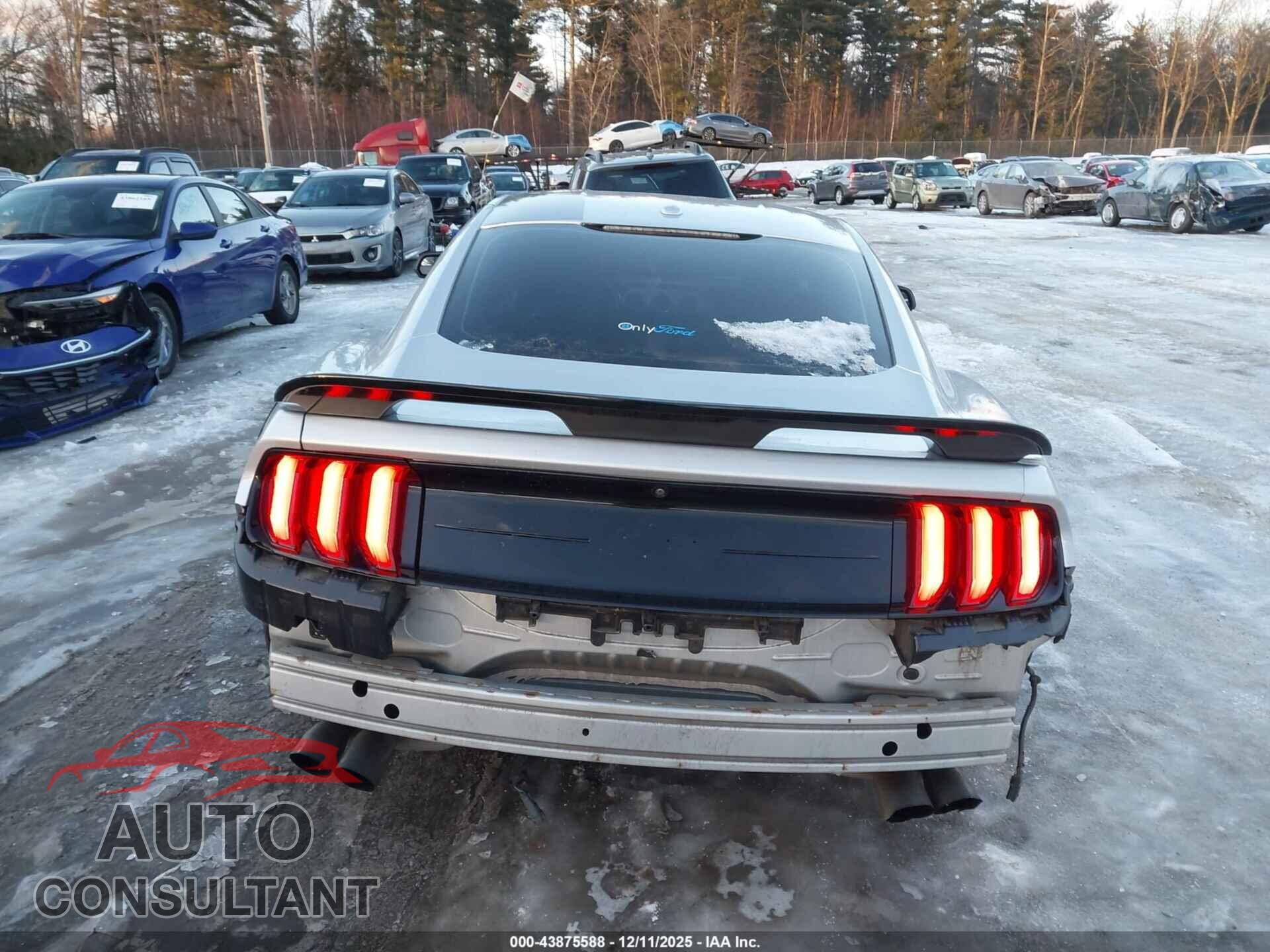 FORD MUSTANG 2019 - 1FA6P8CF7K5163339