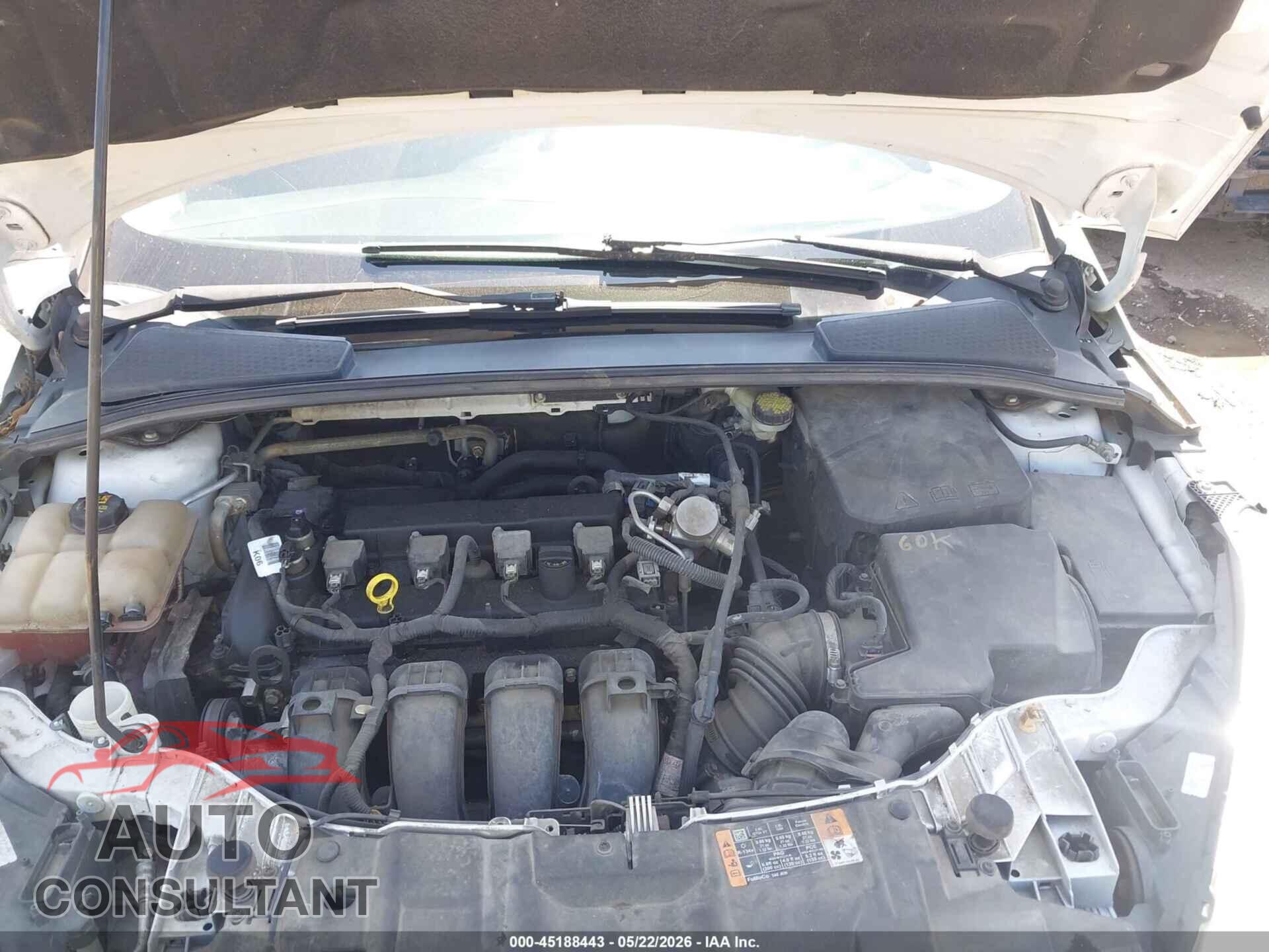 FORD FOCUS 2016 - 1FADP3E26GL387094