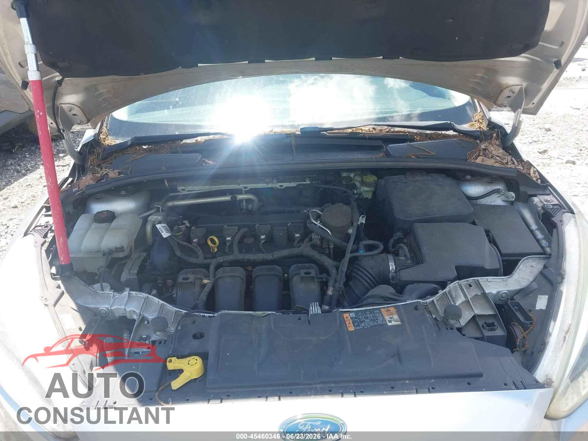FORD FOCUS 2016 - 1FADP3K26GL277232