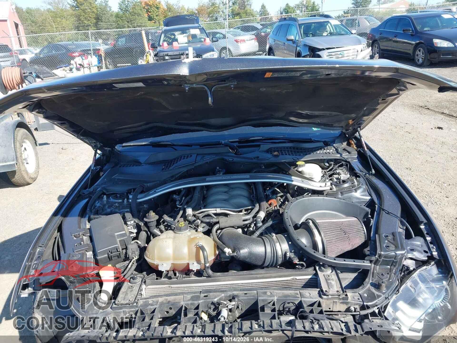 FORD MUSTANG 2019 - 1FA6P8CF2K5111777