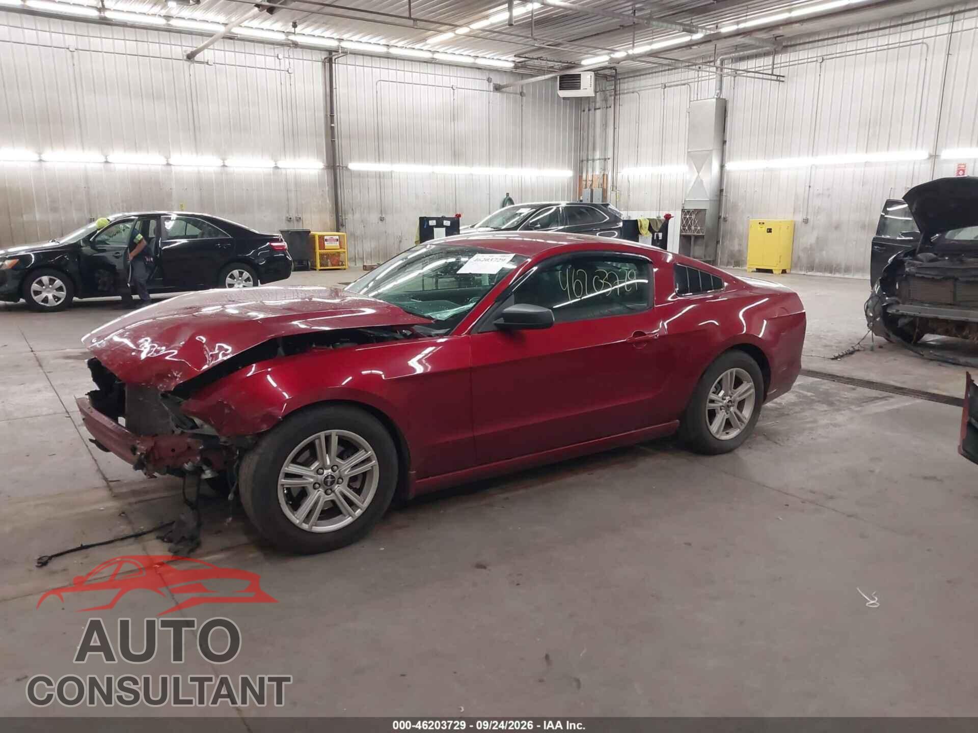 FORD MUSTANG 2014 - 1ZVBP8AM4E5207809