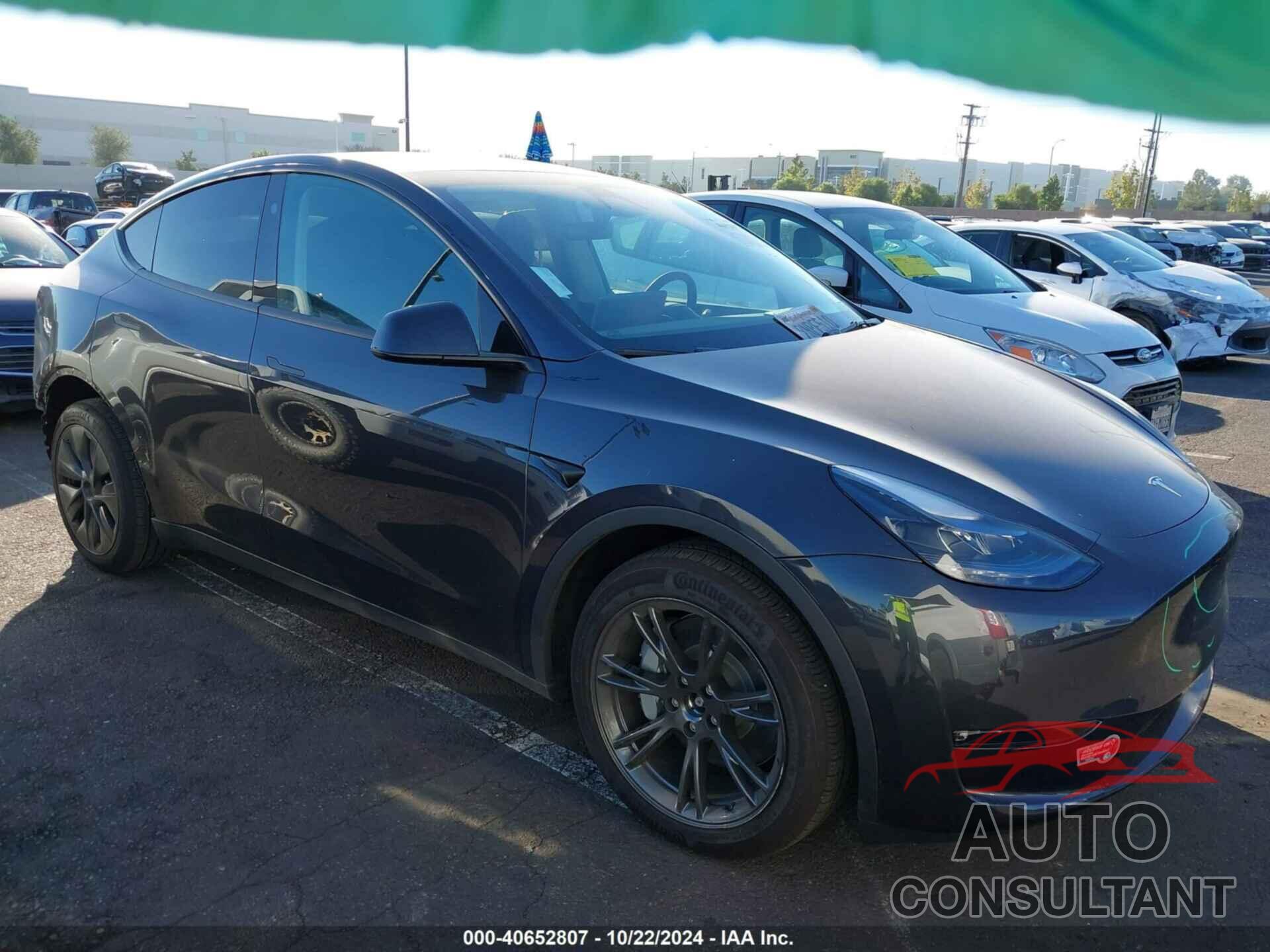 TESLA MODEL Y 2024 - 7SAYGDEE1RF163929