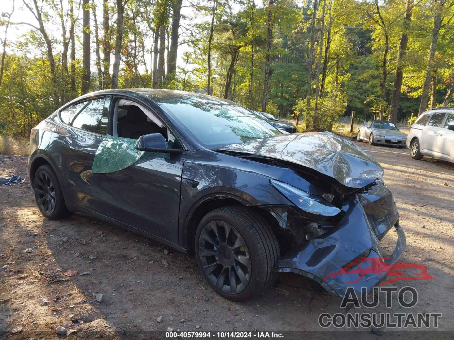 TESLA MODEL Y 2024 - 7SAYGDEE9RA243556