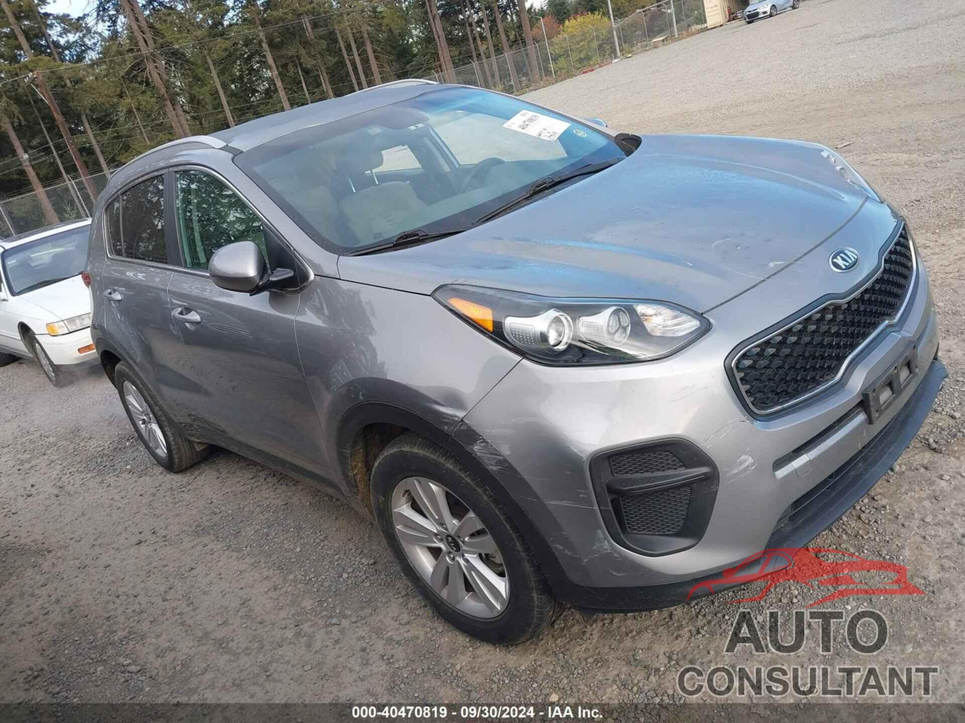 KIA SPORTAGE 2019 - KNDPM3AC0K7570474