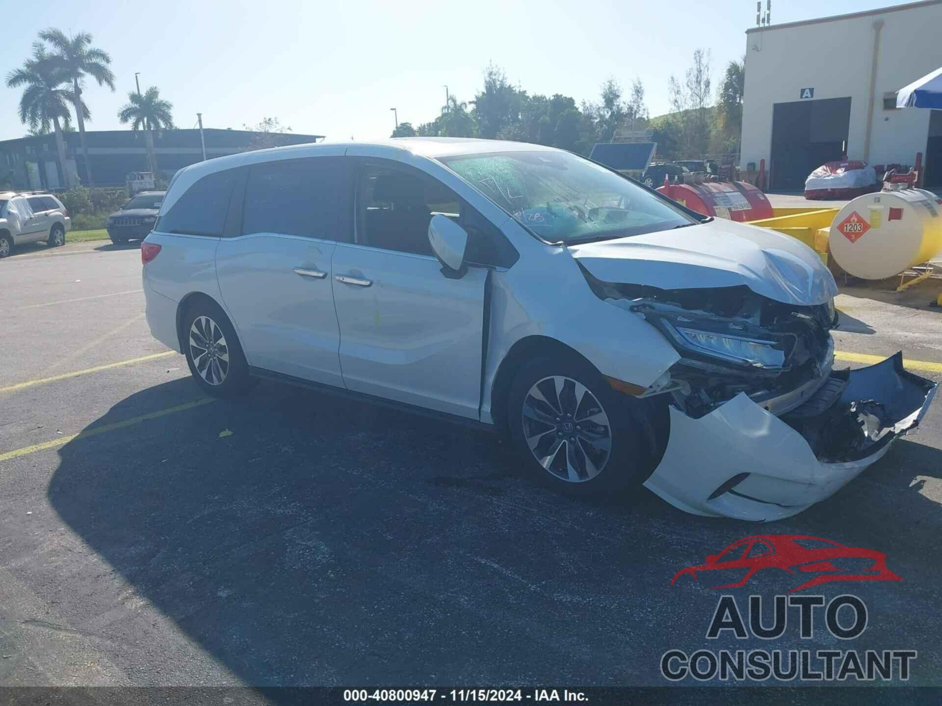 HONDA ODYSSEY 2024 - 5FNRL6H64RB051557