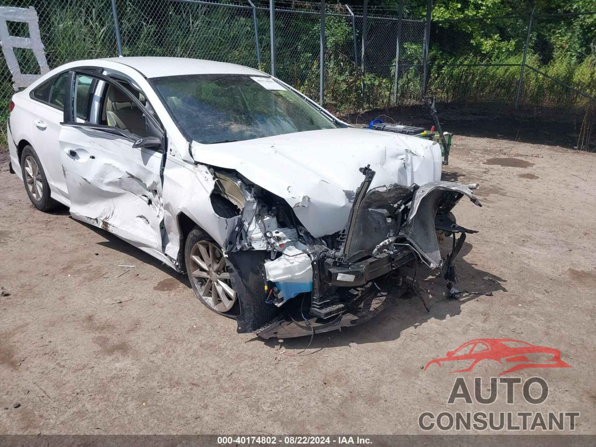 HYUNDAI SONATA 2019 - 5NPE24AF9KH778345