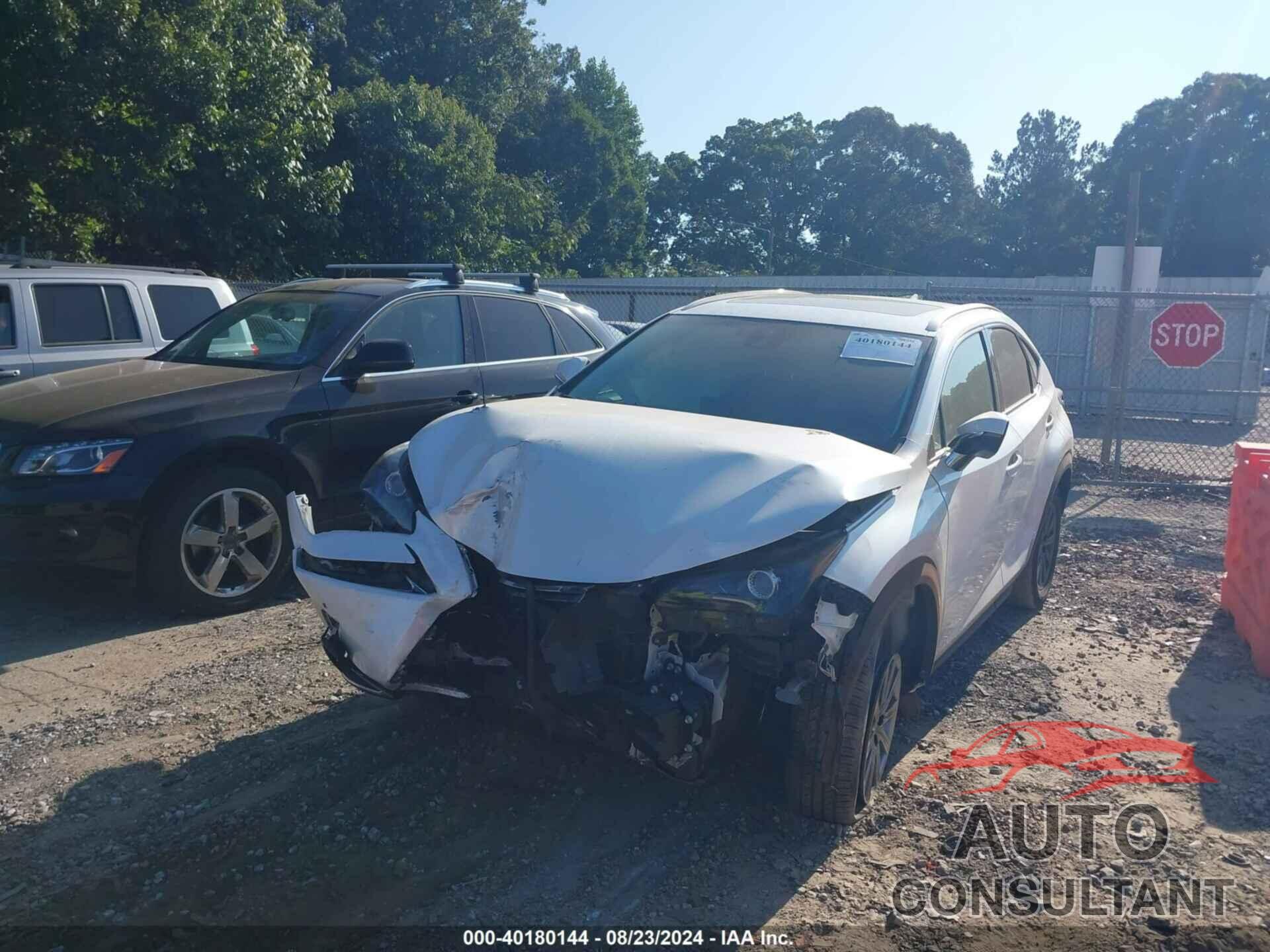 LEXUS NX 300 2019 - JTJYARBZ5K2126889