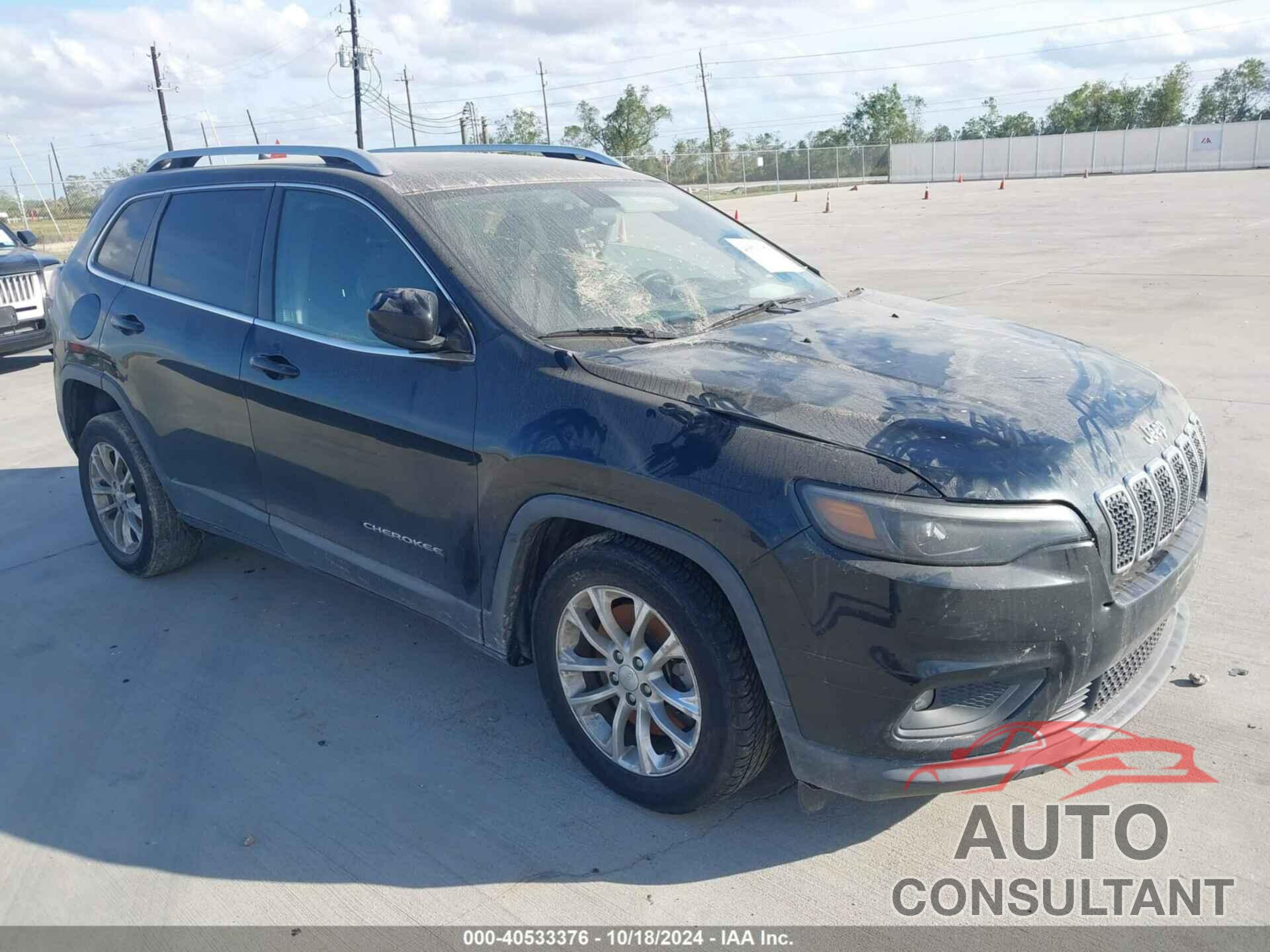 JEEP CHEROKEE 2019 - 1C4PJLCB7KD307607