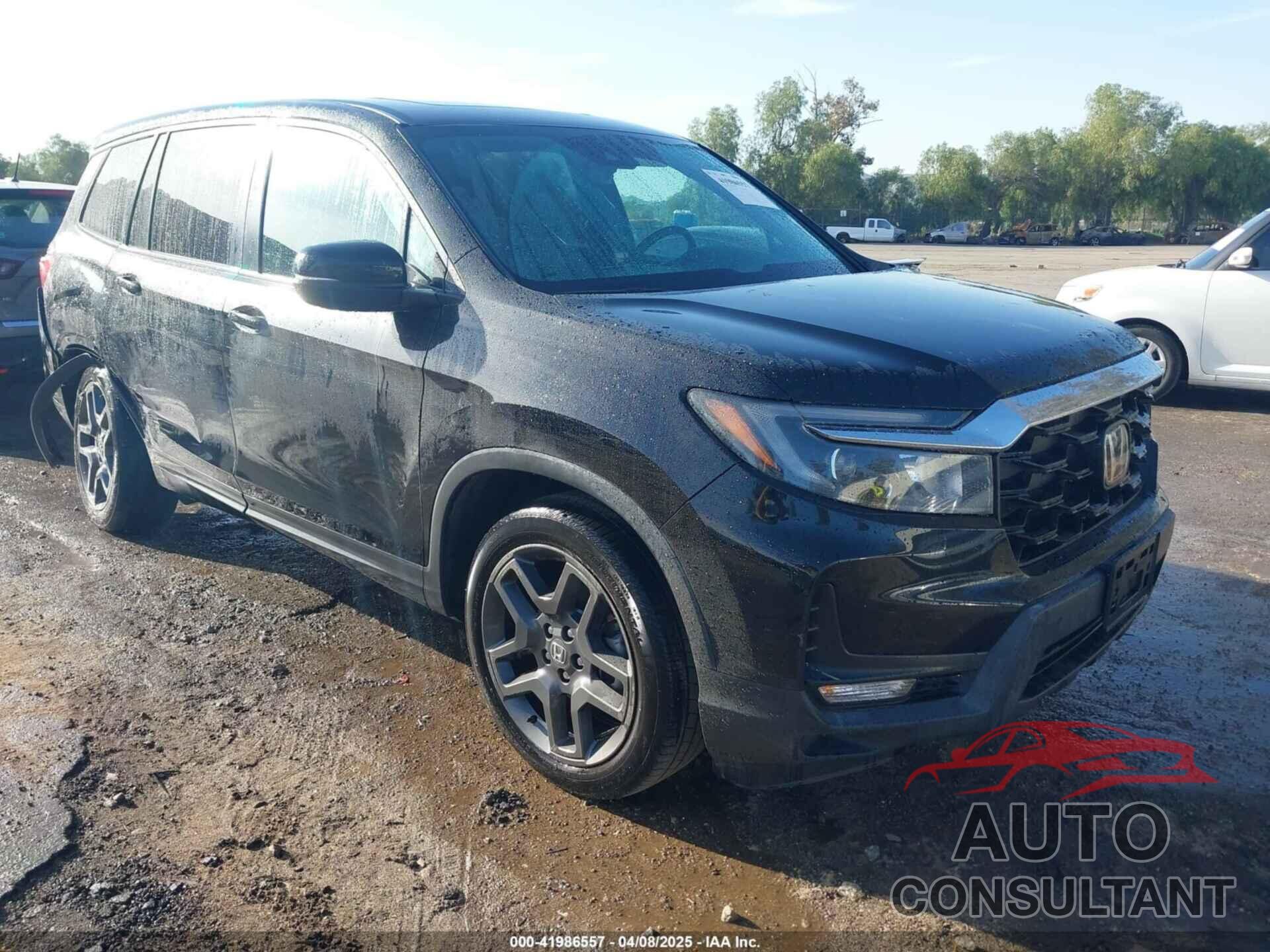 HONDA PASSPORT 2022 - 5FNYF7H58NB003344