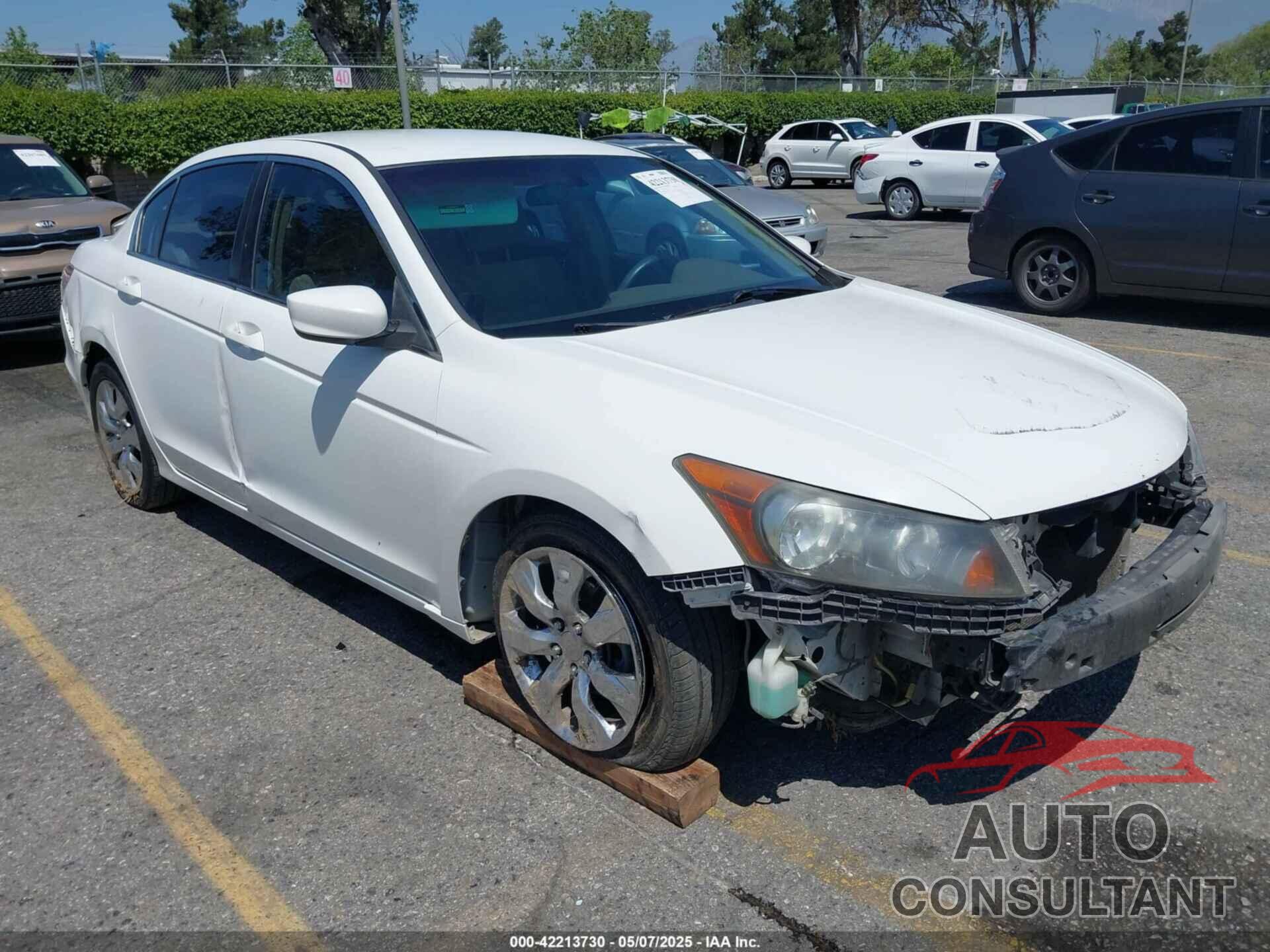 HONDA ACCORD 2009 - JHMCP26309C006980