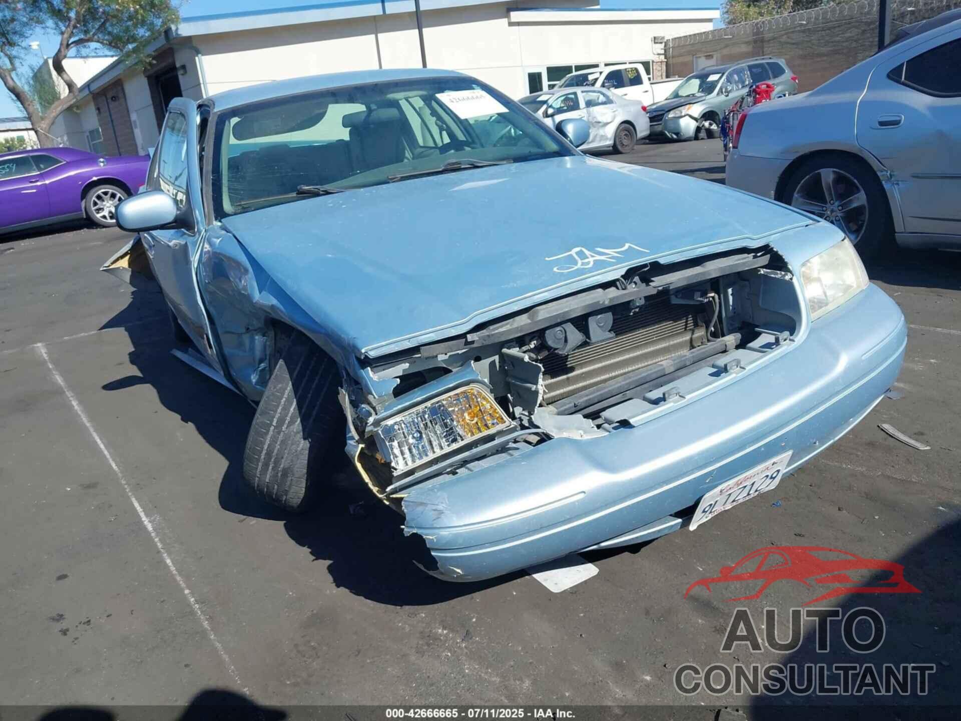 FORD CROWN VICTORIA 2011 - 2FABP7EV8BX177343