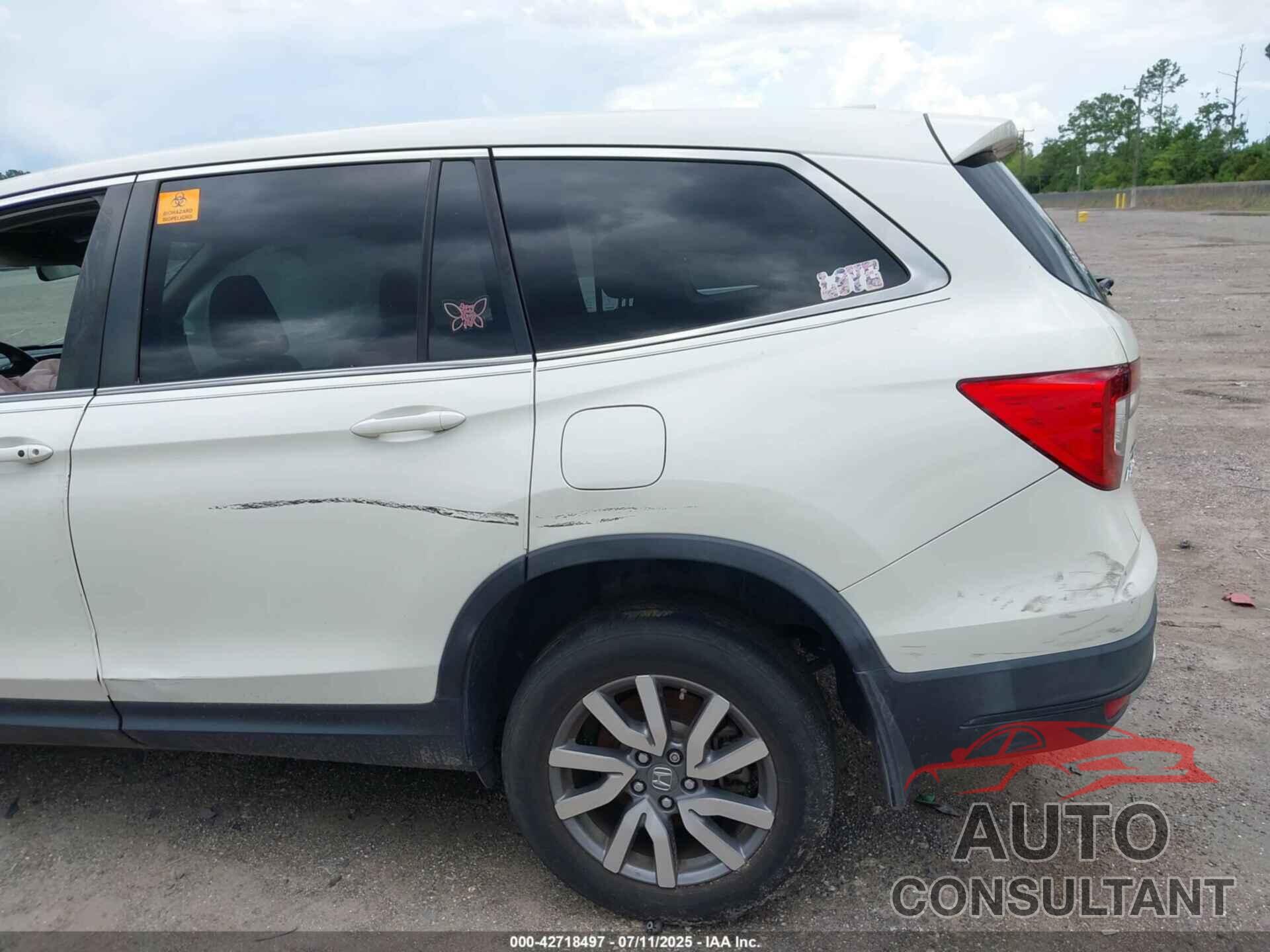 HONDA PILOT 2019 - 5FNYF6H49KB067552