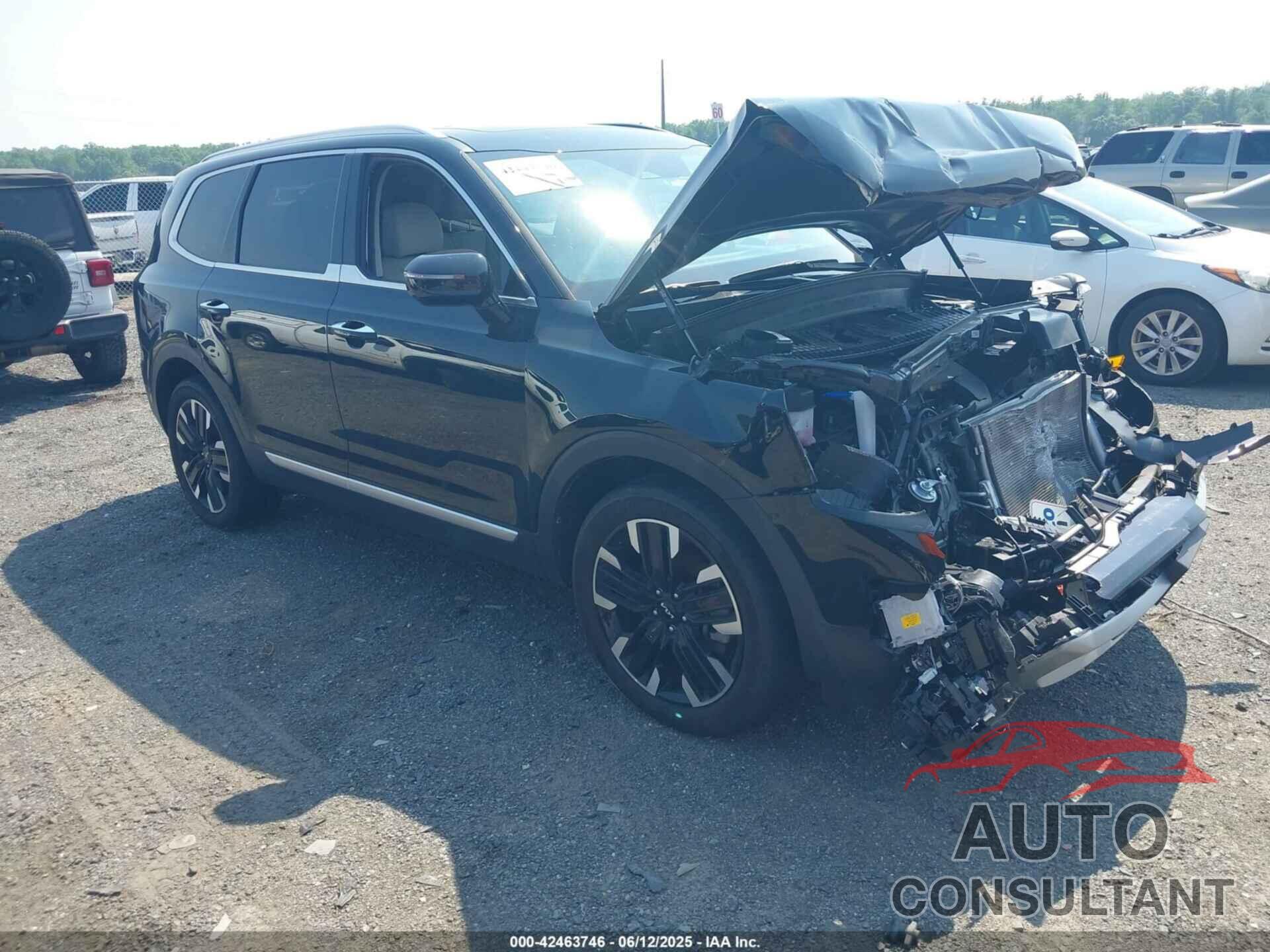 KIA TELLURIDE 2023 - 5XYP5DGC0PG343354