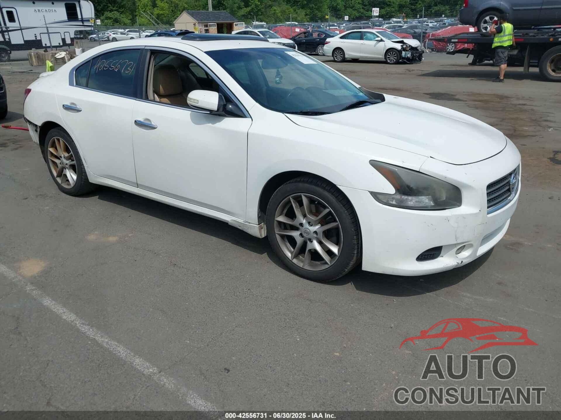 NISSAN MAXIMA 2010 - 1N4AA5AP4AC858183