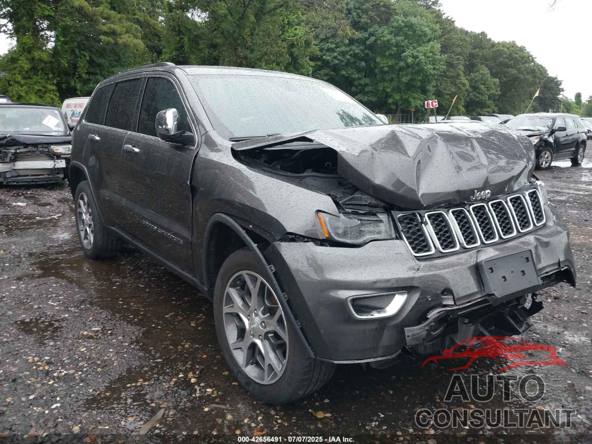 JEEP GRAND CHEROKEE 2019 - 1C4RJFBG6KC595861
