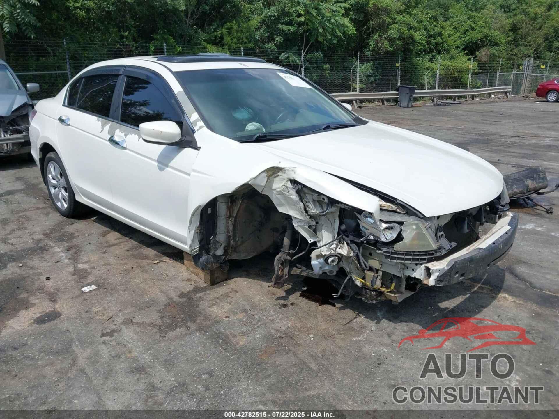 HONDA ACCORD 2010 - 5KBCP3F85AB001205
