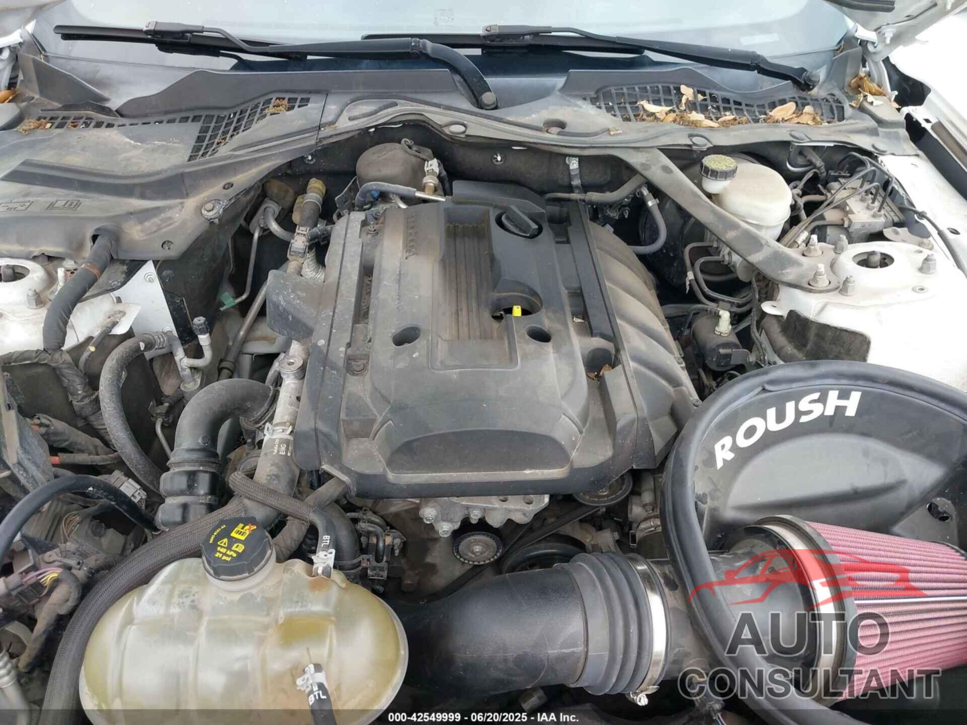 FORD MUSTANG 2017 - 1FA6P8TH5H5264342