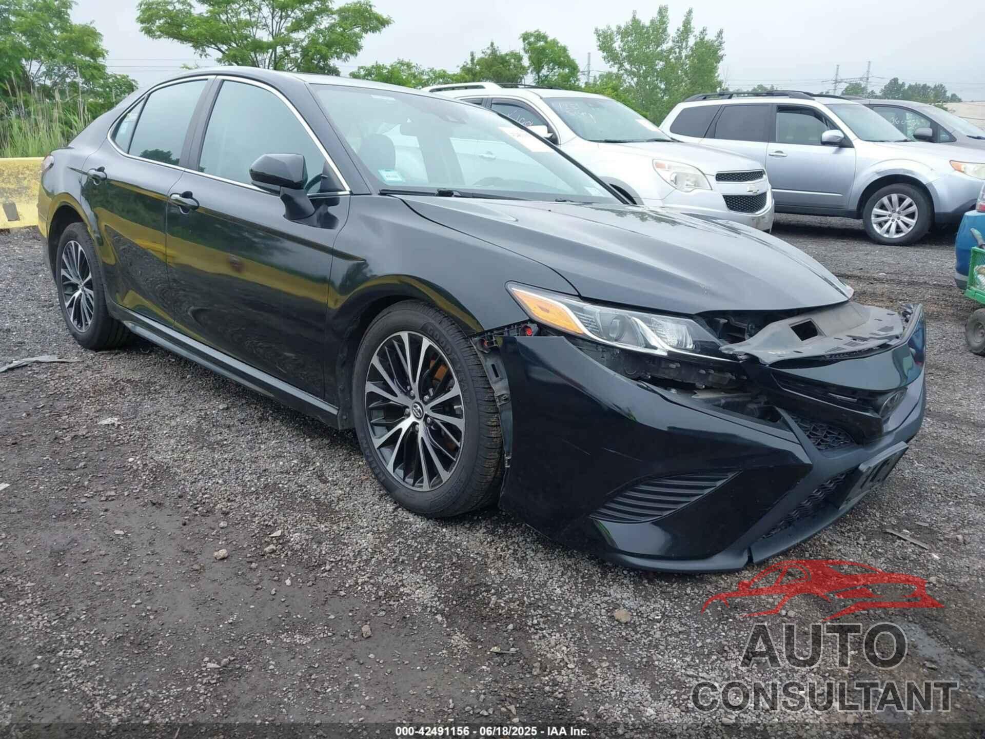 TOYOTA CAMRY 2019 - 4T1B11HK5KU768825