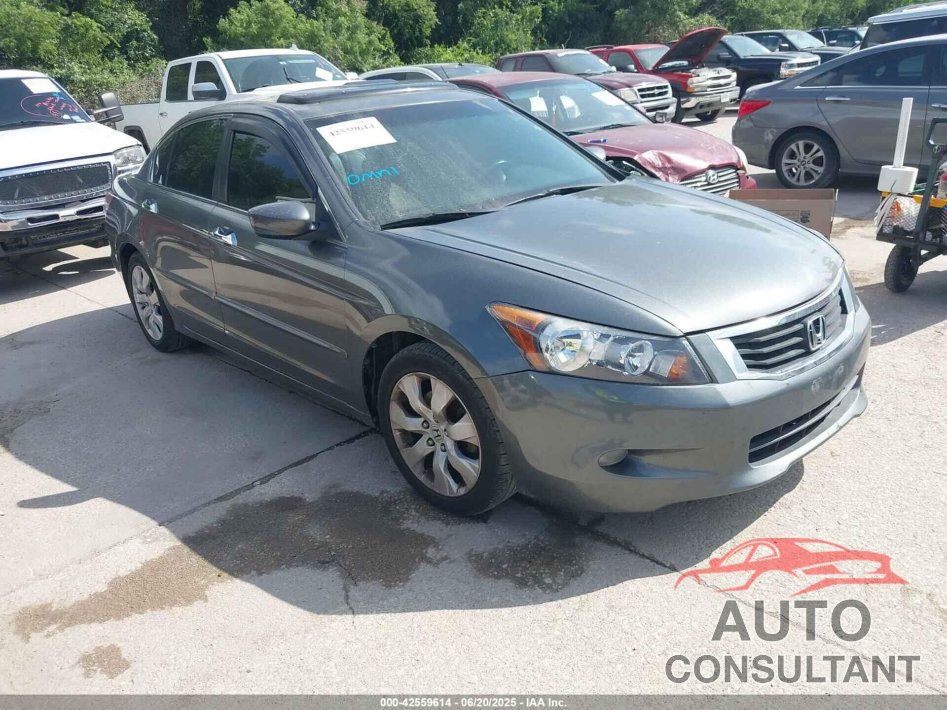 HONDA ACCORD 2009 - 1HGCP36899A006489