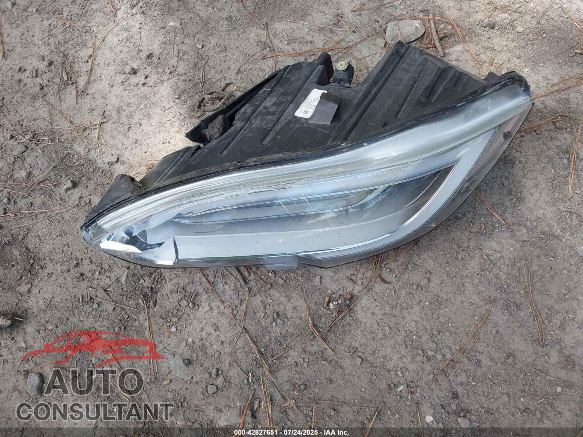 TESLA MODEL S 2021 - 5YJSA1E46MF424359