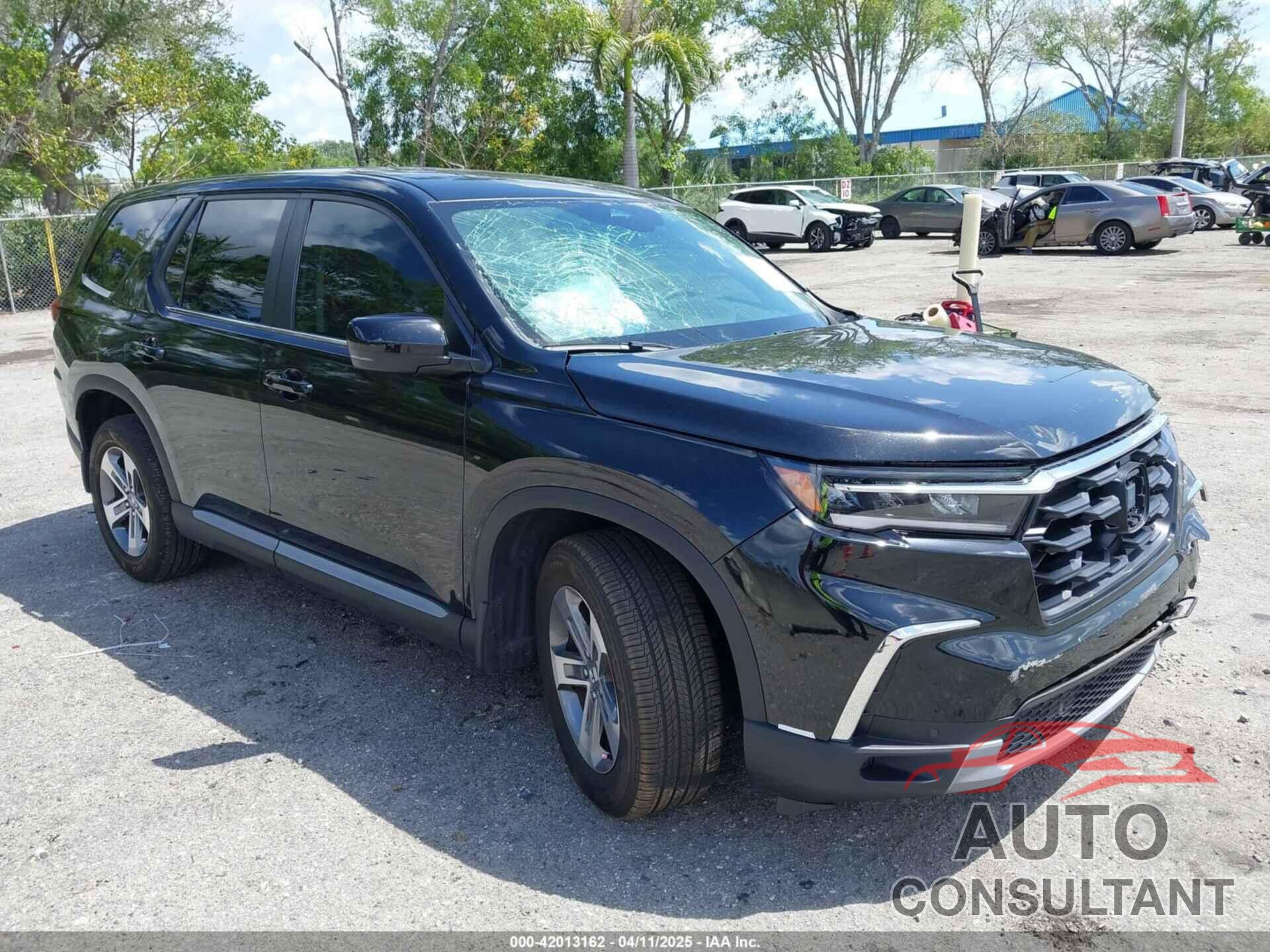 HONDA PILOT 2024 - 5FNYG2H49RB014141