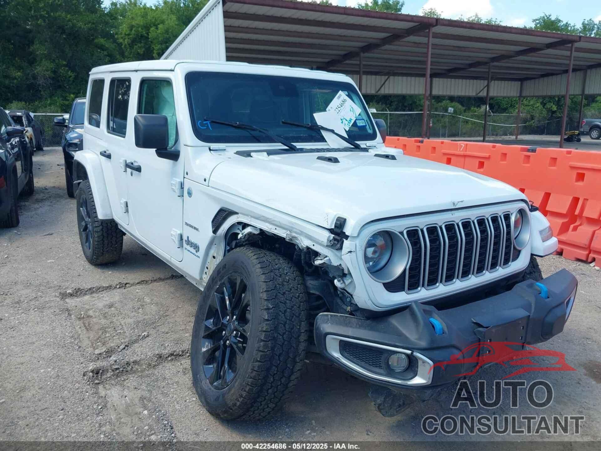JEEP WRANGLER 4XE 2024 - 1C4RJXP60RW225567