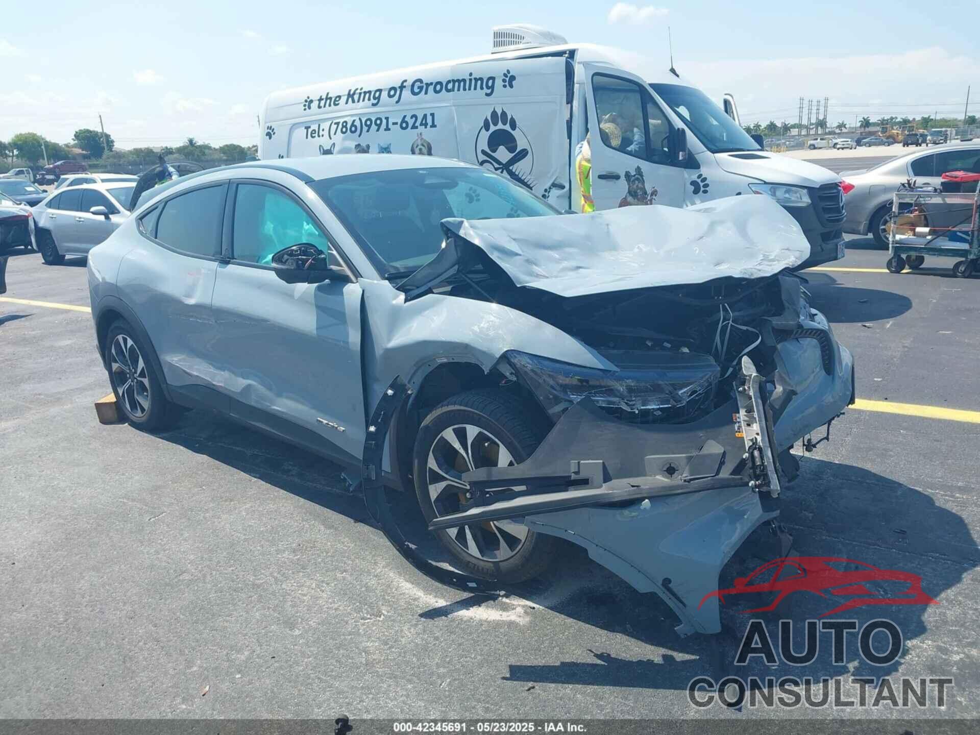 FORD MUSTANG MACH-E 2024 - 3FMTK1R4XRMA14724
