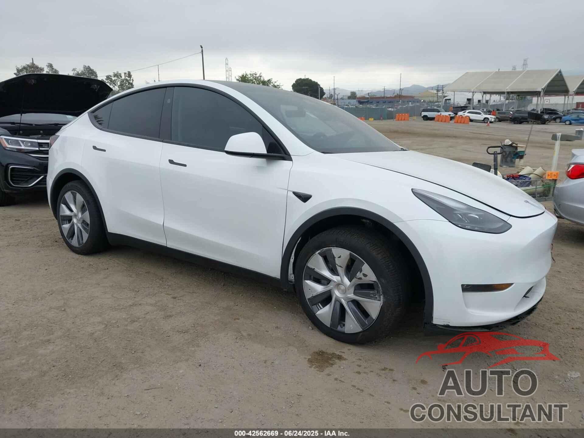 TESLA MODEL Y 2024 - 7SAYGDEE3RA256206