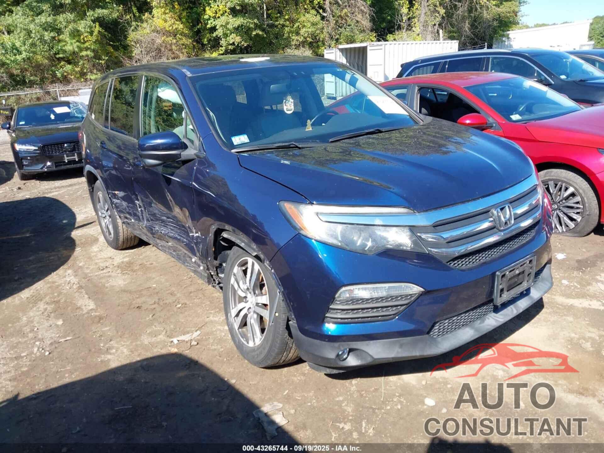 HONDA PILOT 2016 - 5FNYF6H5XGB052154
