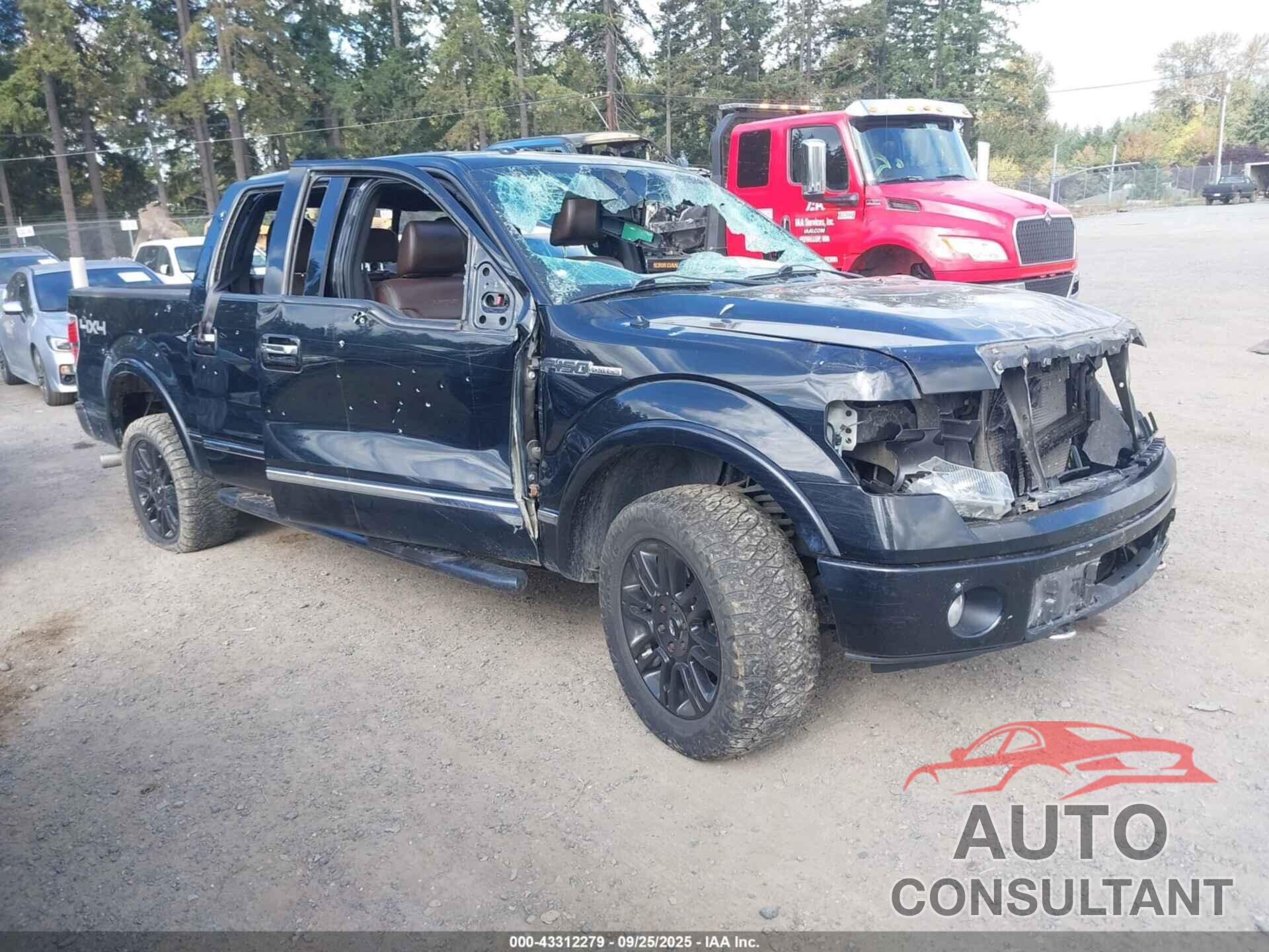FORD F-150 2011 - 1FTFW1EF8BFC80987